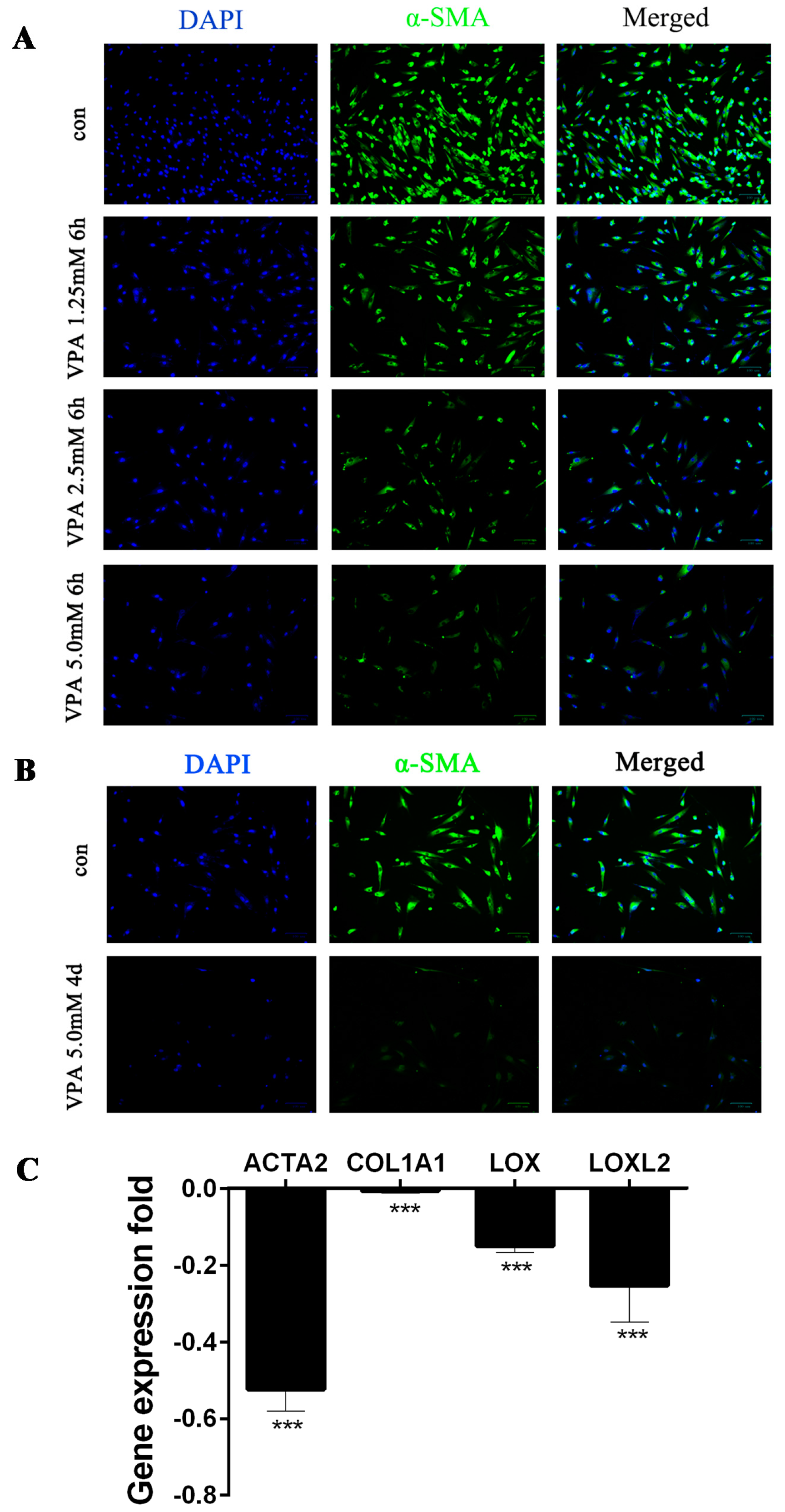 Ijms 19 00675 g001 Ijms 19 00675 g001