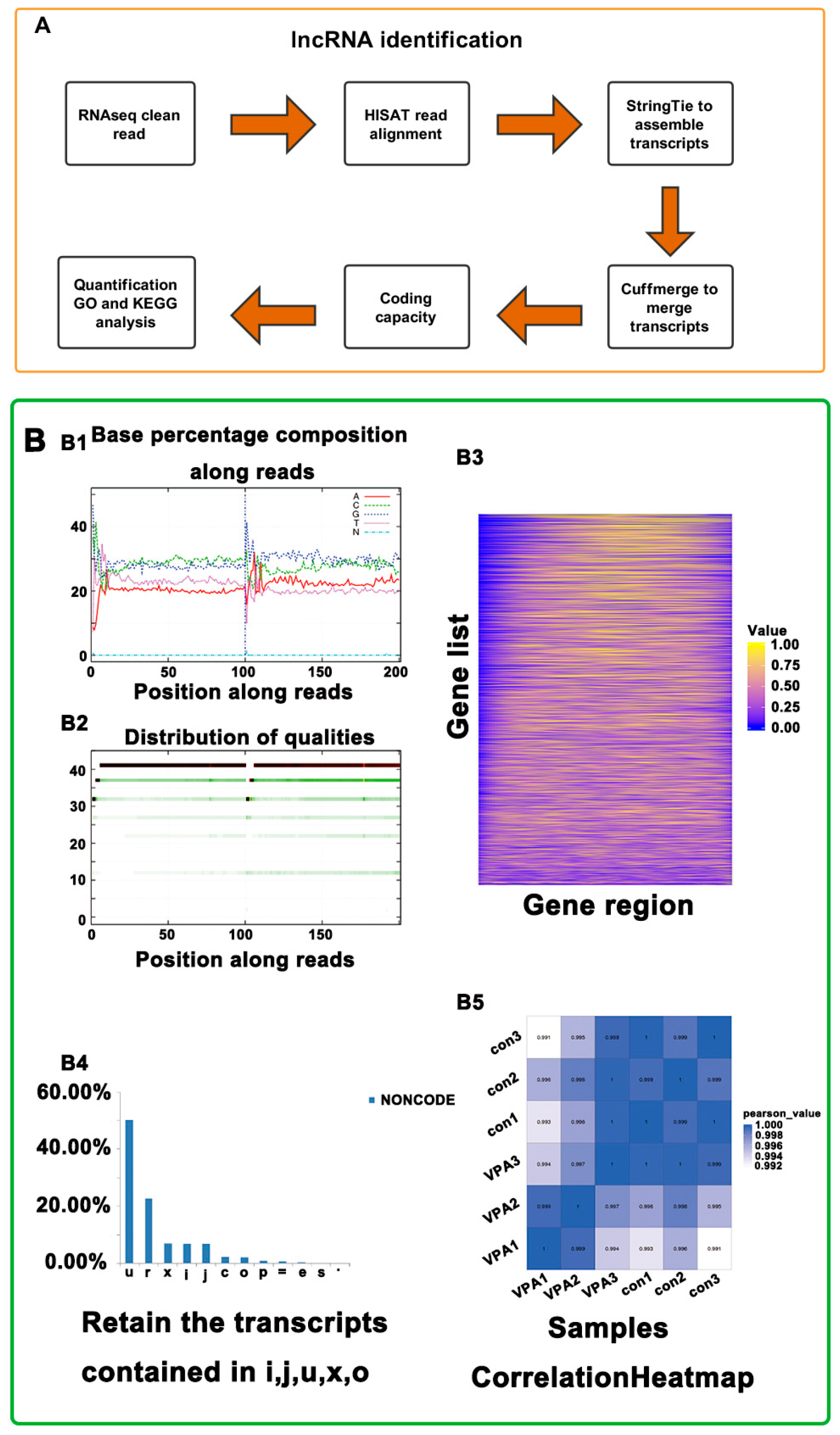 Ijms 19 00675 g002 Ijms 19 00675 g002