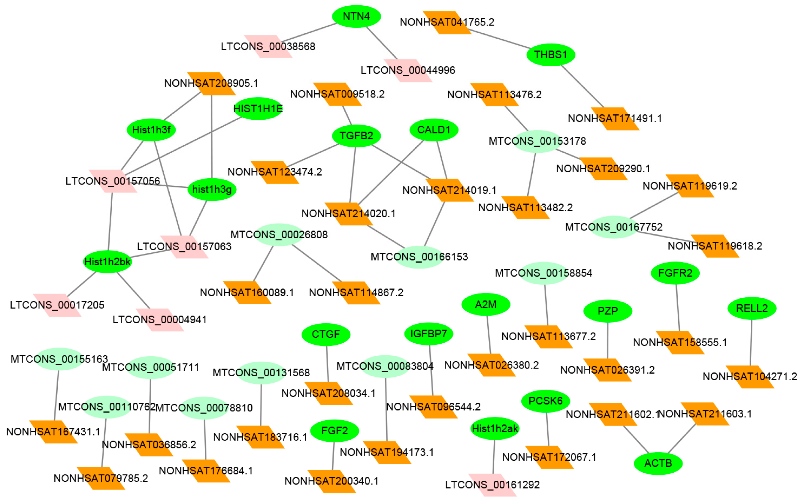 Ijms 19 00675 g006 Ijms 19 00675 g006