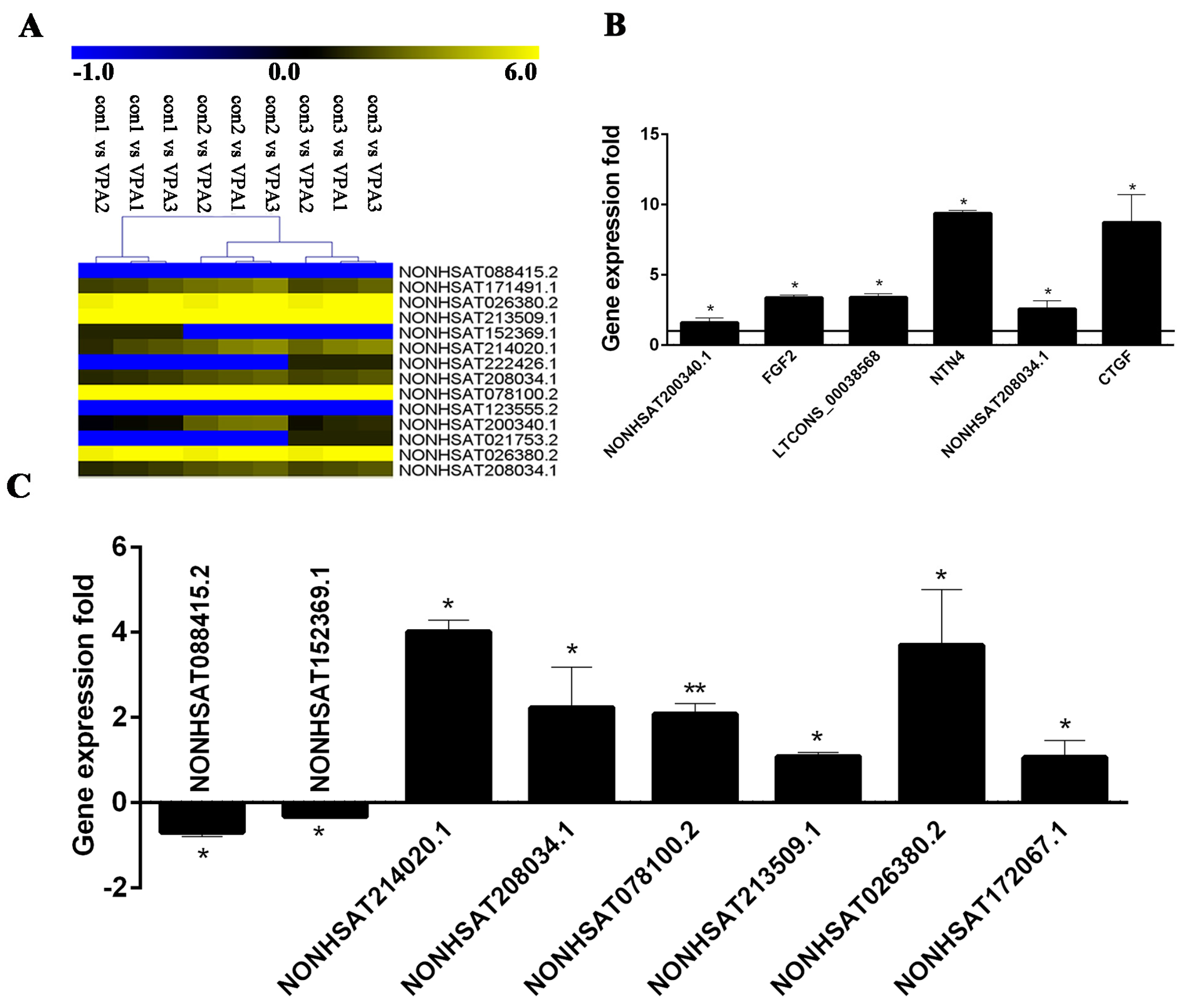 Ijms 19 00675 g007 Ijms 19 00675 g007