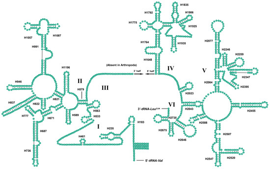 mdpi