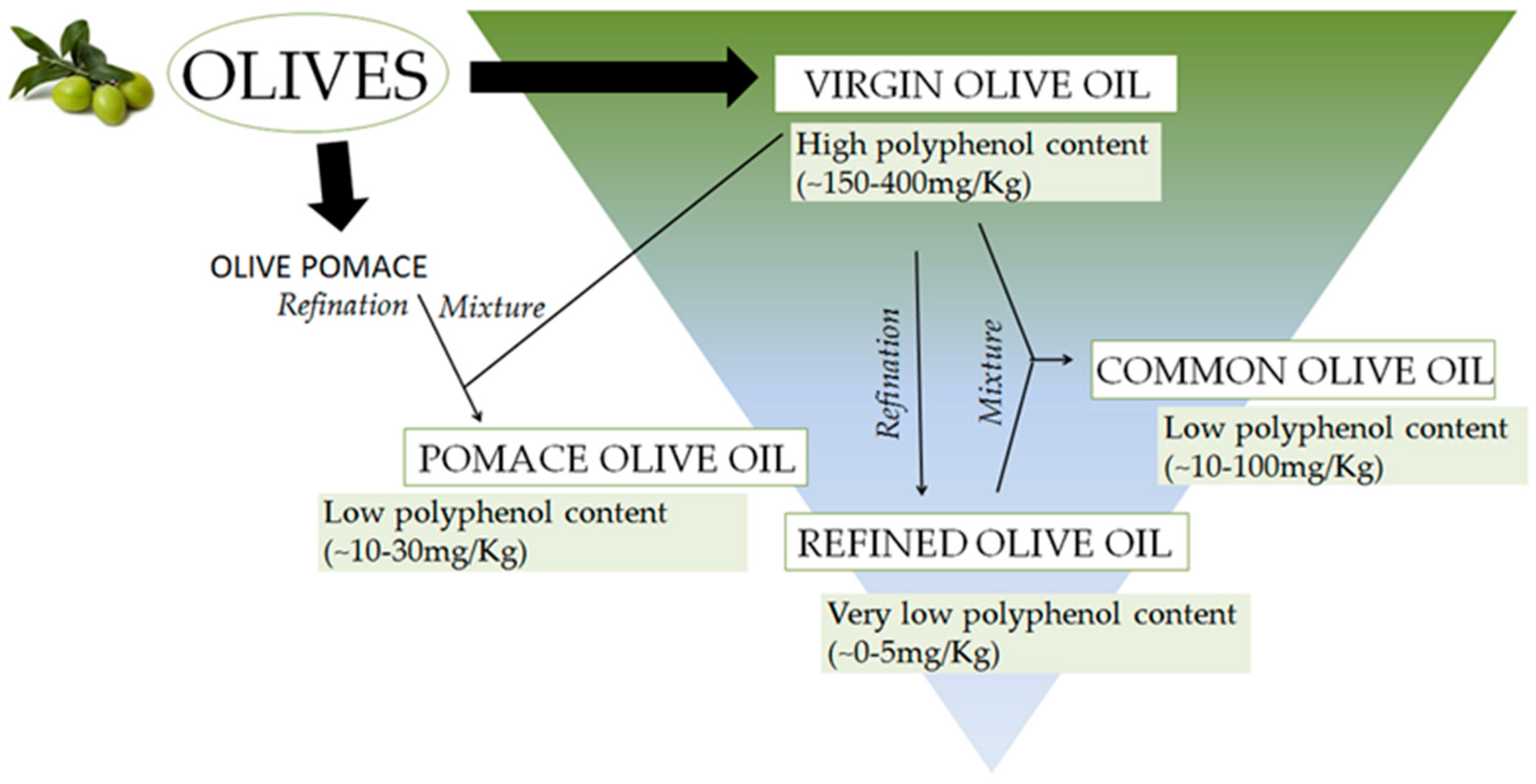 Ijms Free Full Text Potential Health Benefits Of Olive Oil And Plant Polyphenols Html