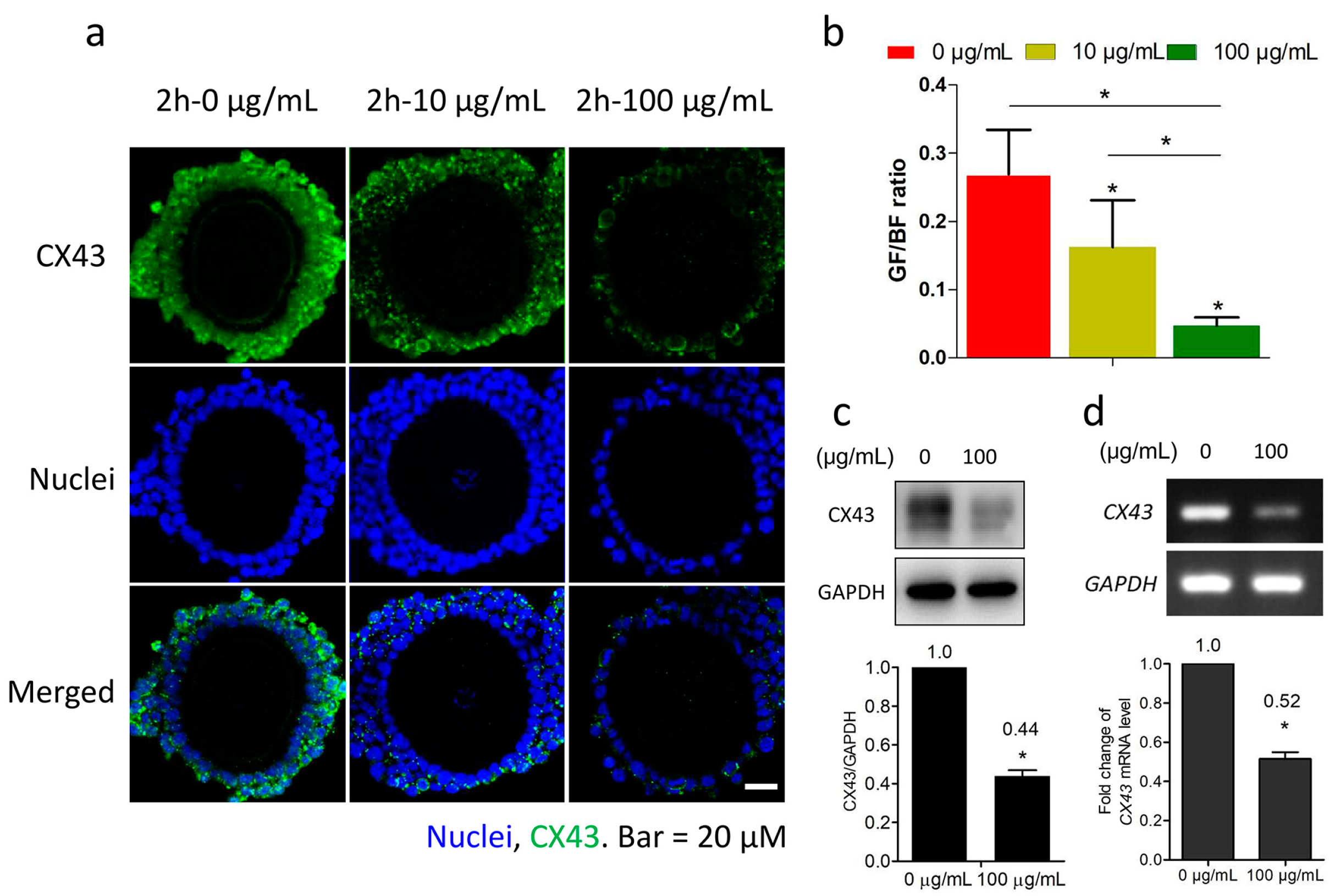 Ijms 19 00699 g002 550