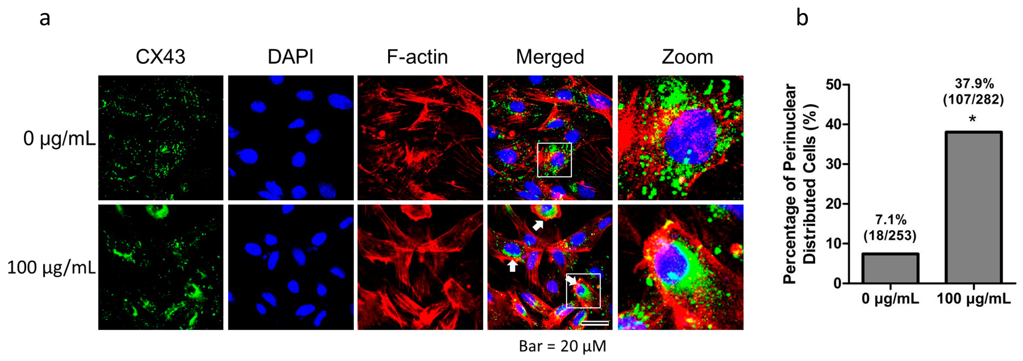 Ijms 19 00699 g003 550