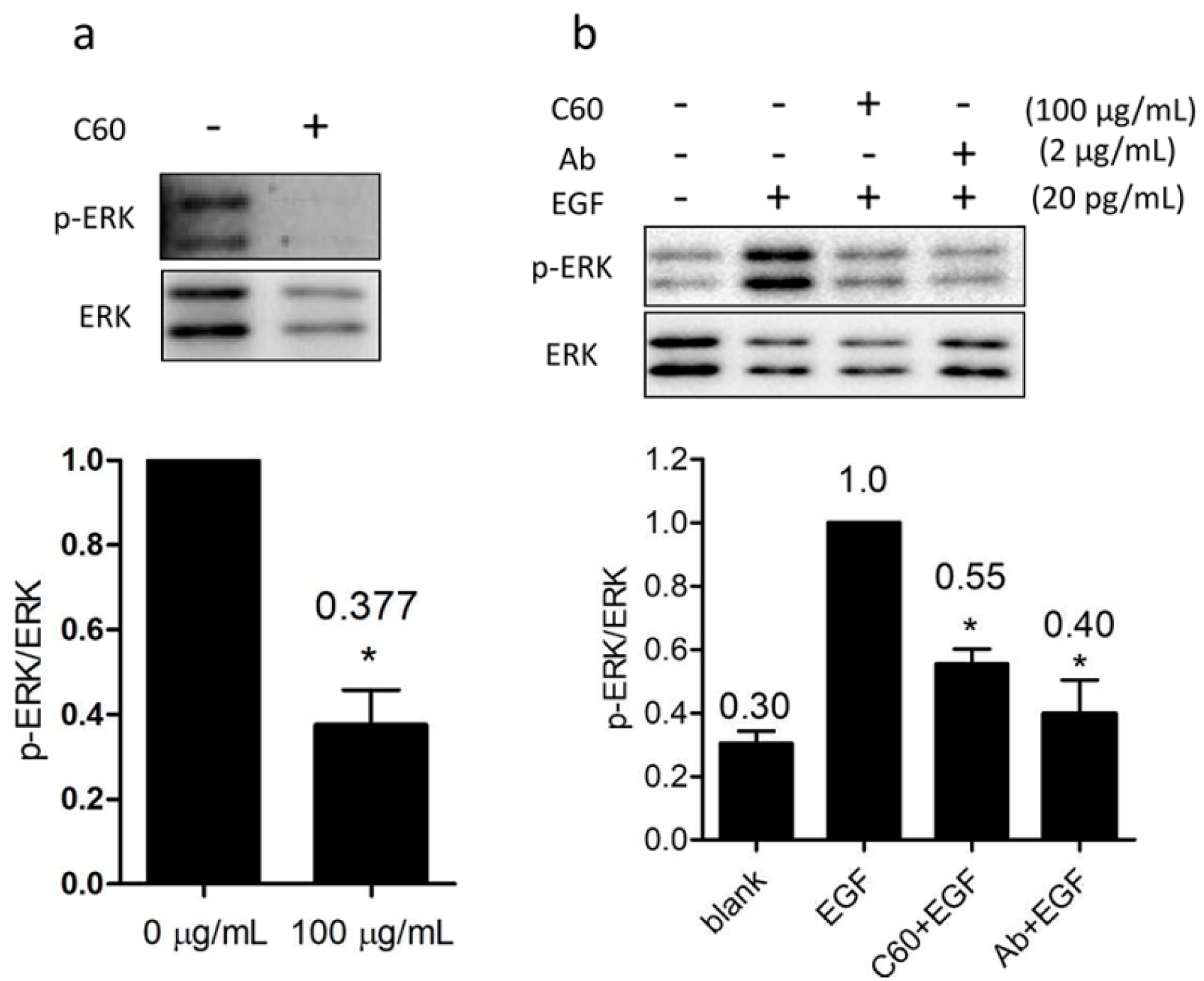 Ijms 19 00699 g005 550