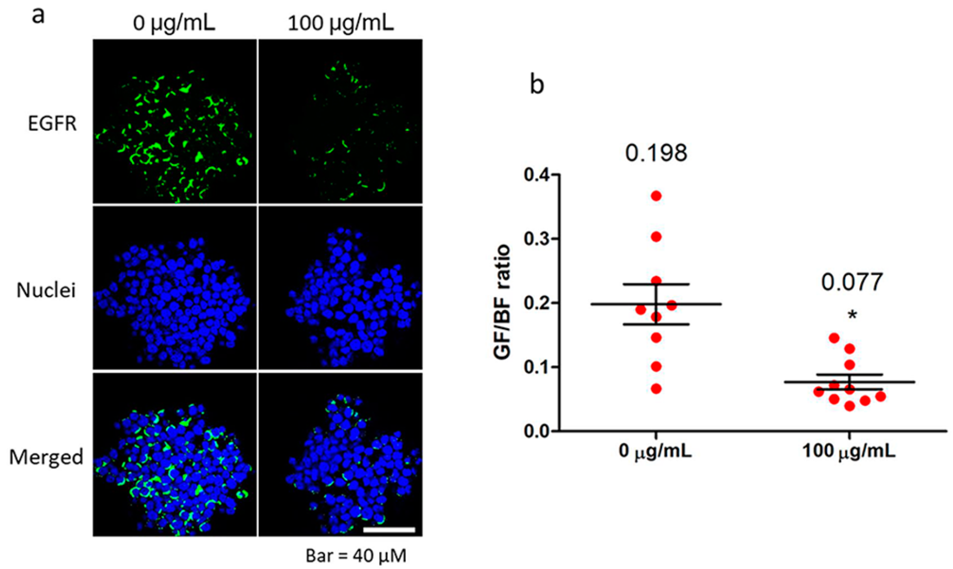 Ijms 19 00699 g006 550