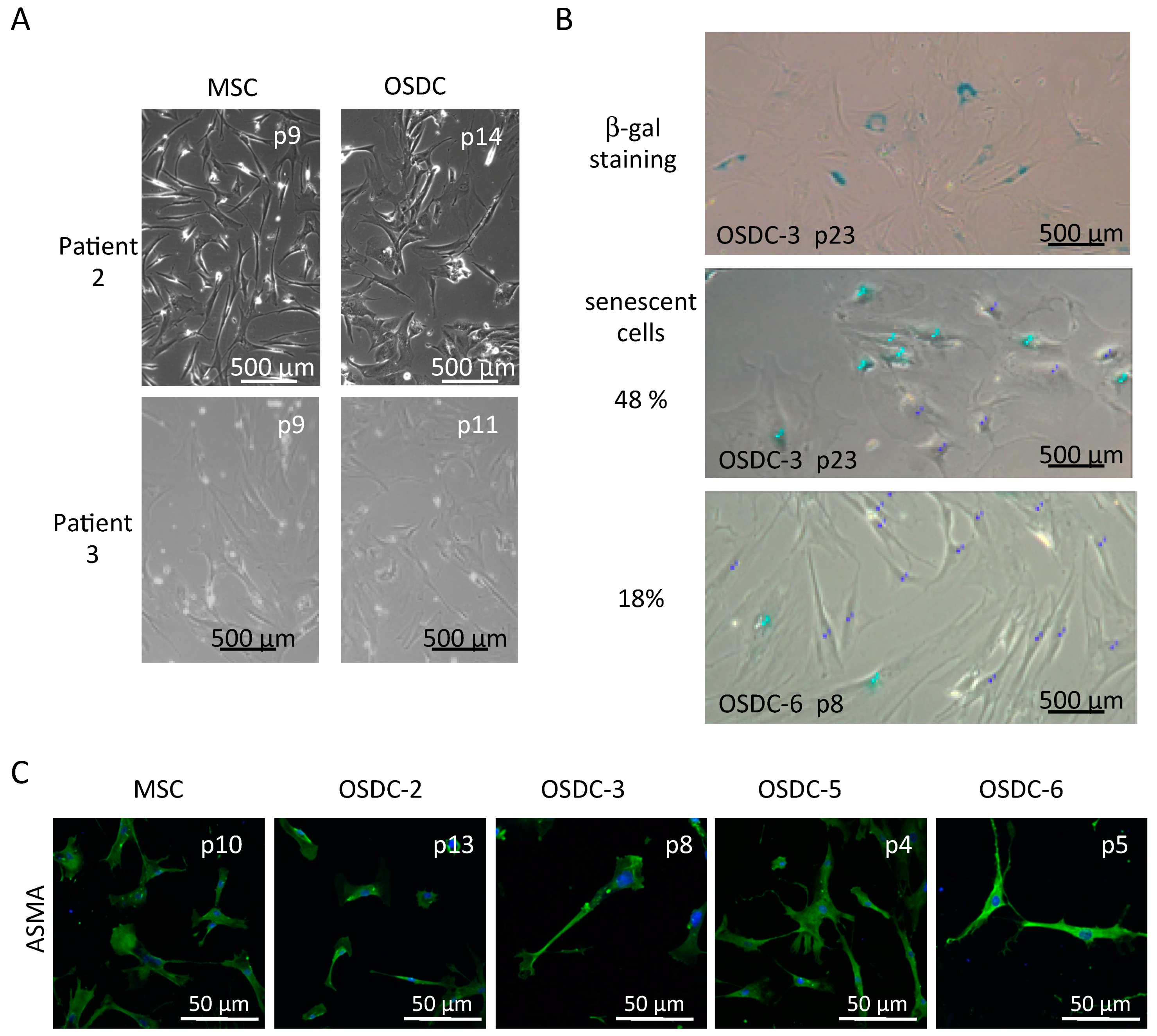 Ijms 19 00707 g001 Ijms 19 00707 g001