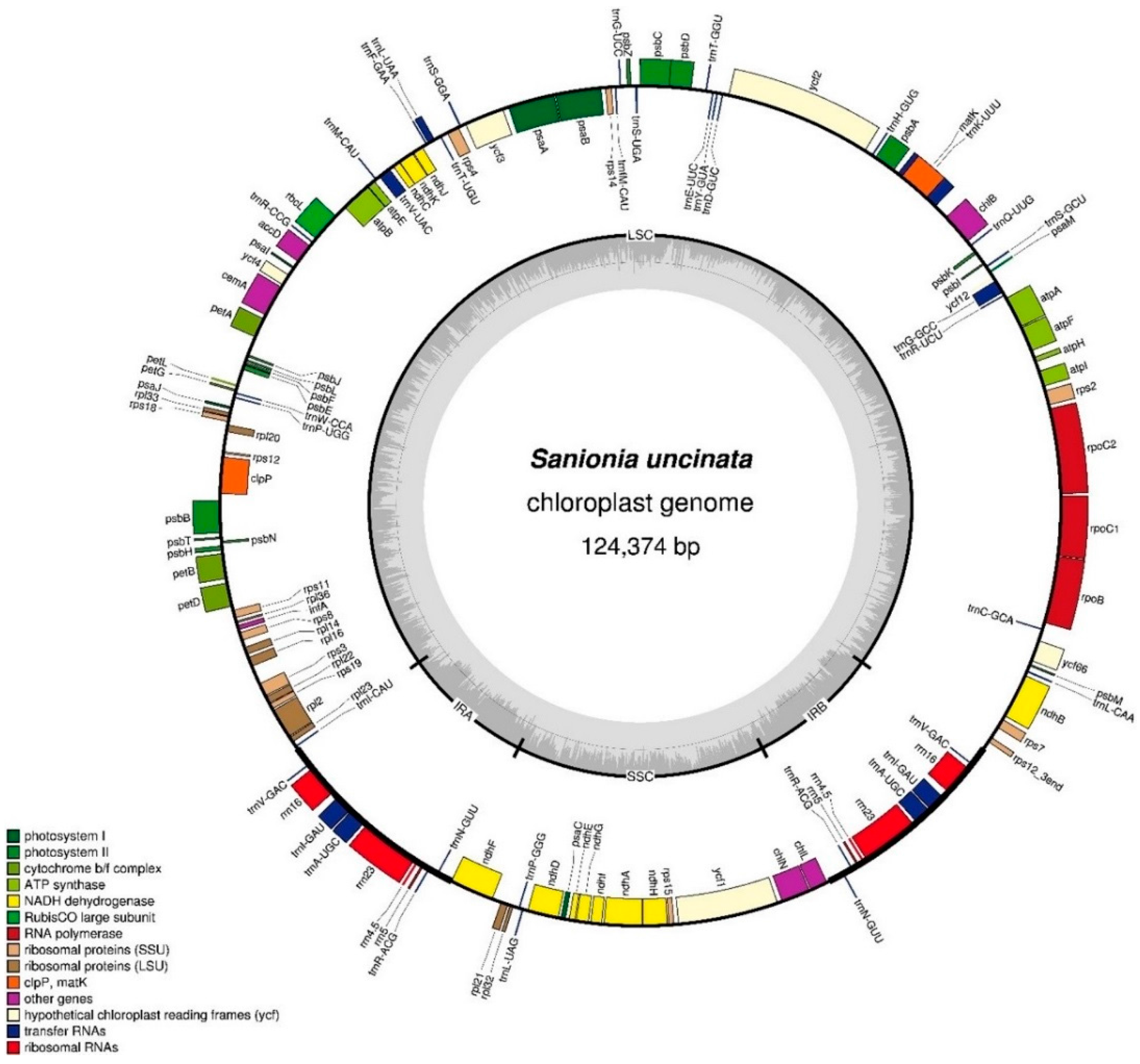 Ijms 19 00709 g001 Ijms 19 00709 g001