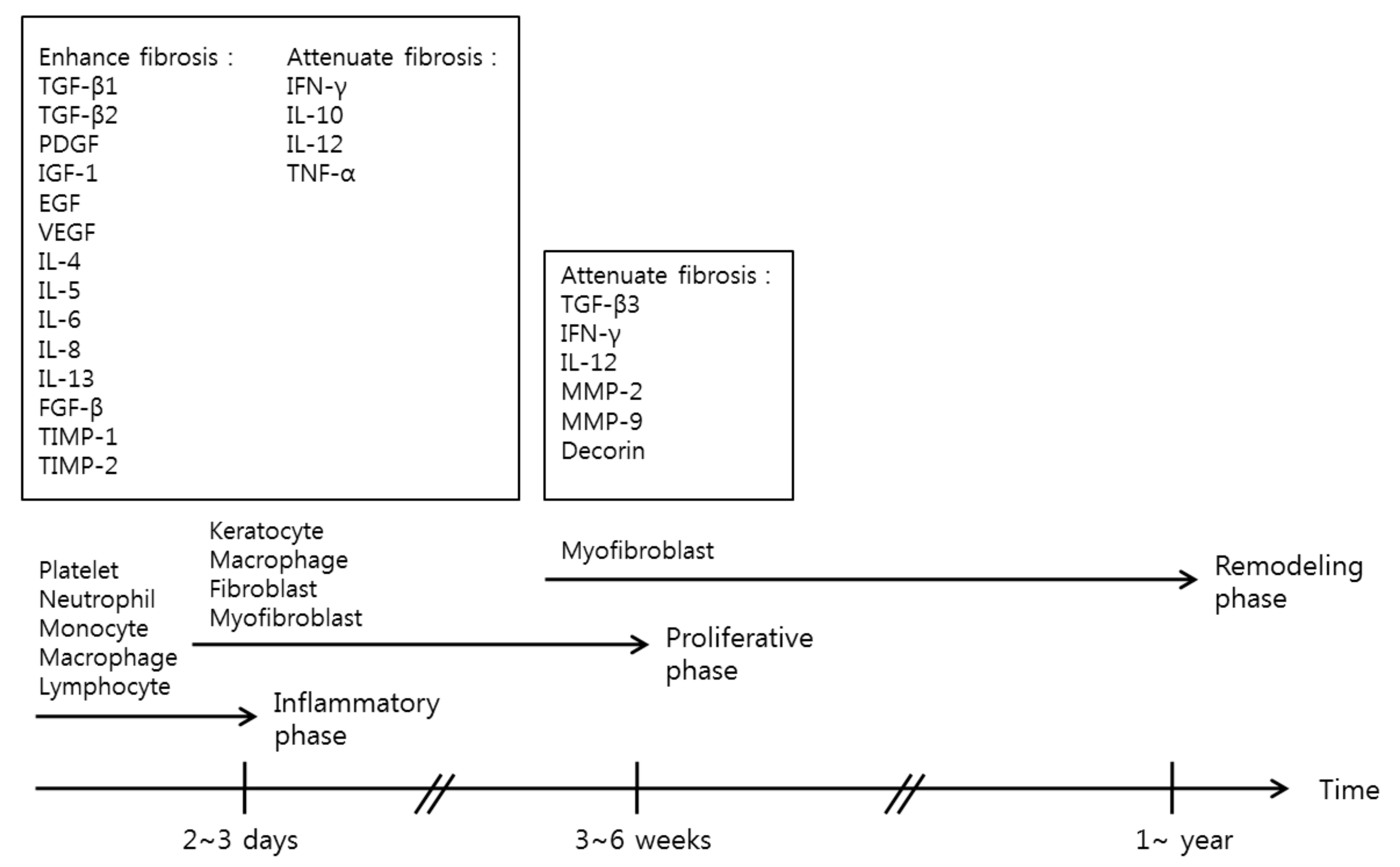 Ijms 19 00711 g002 Ijms 19 00711 g002