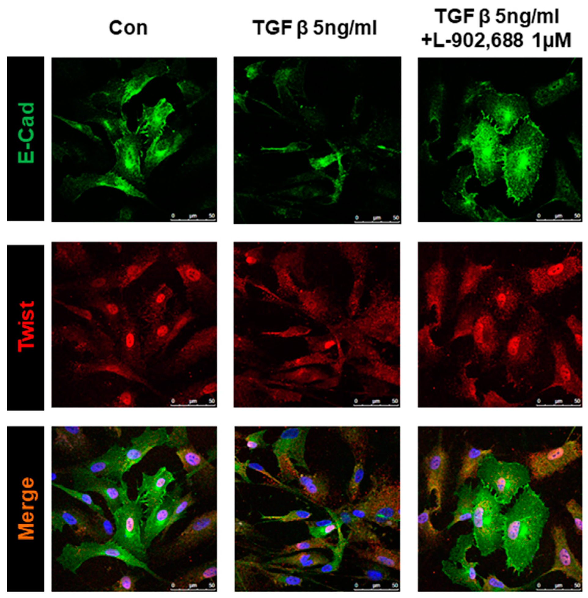 Ijms 19 00727 g003 550