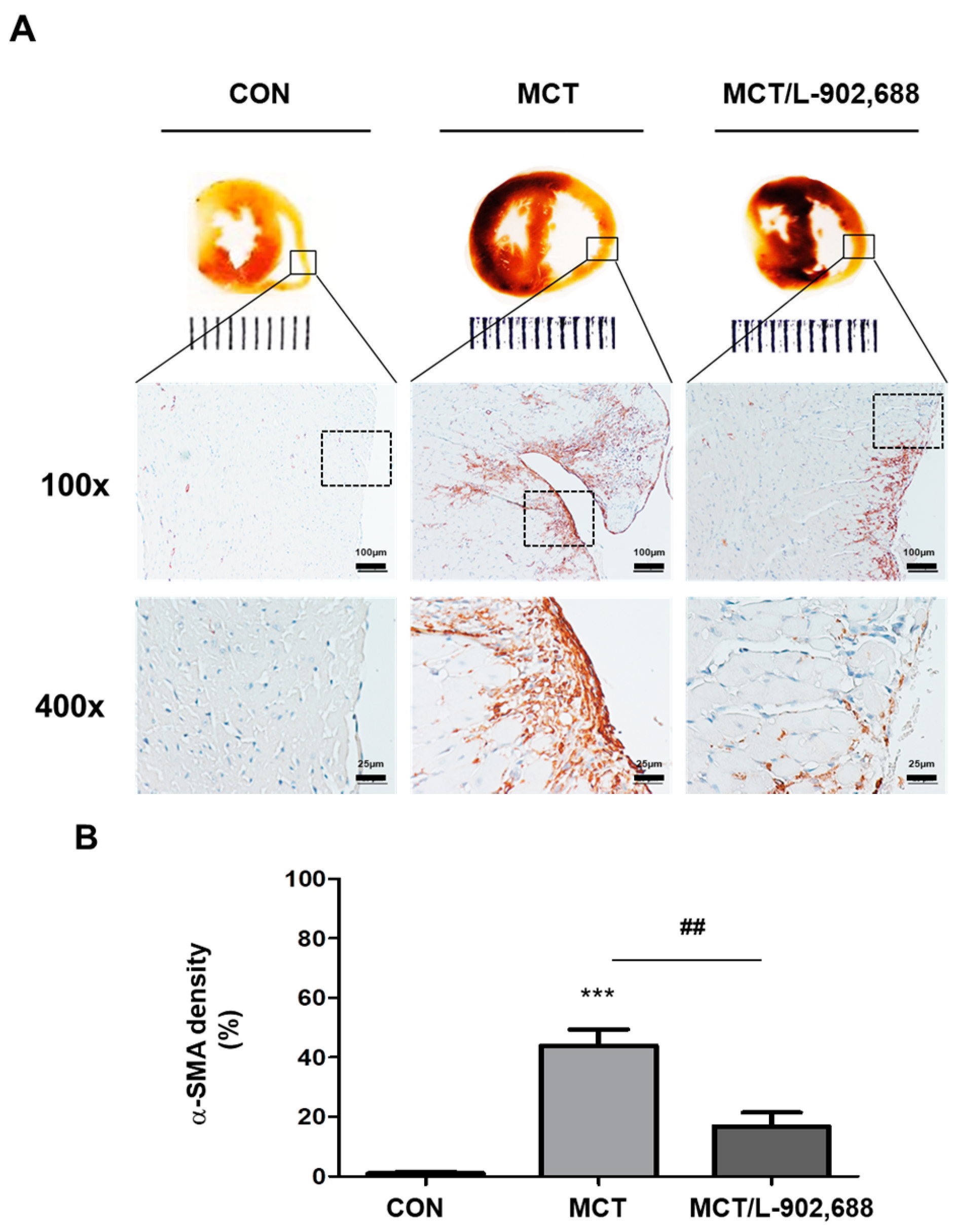 Ijms 19 00727 g005 550