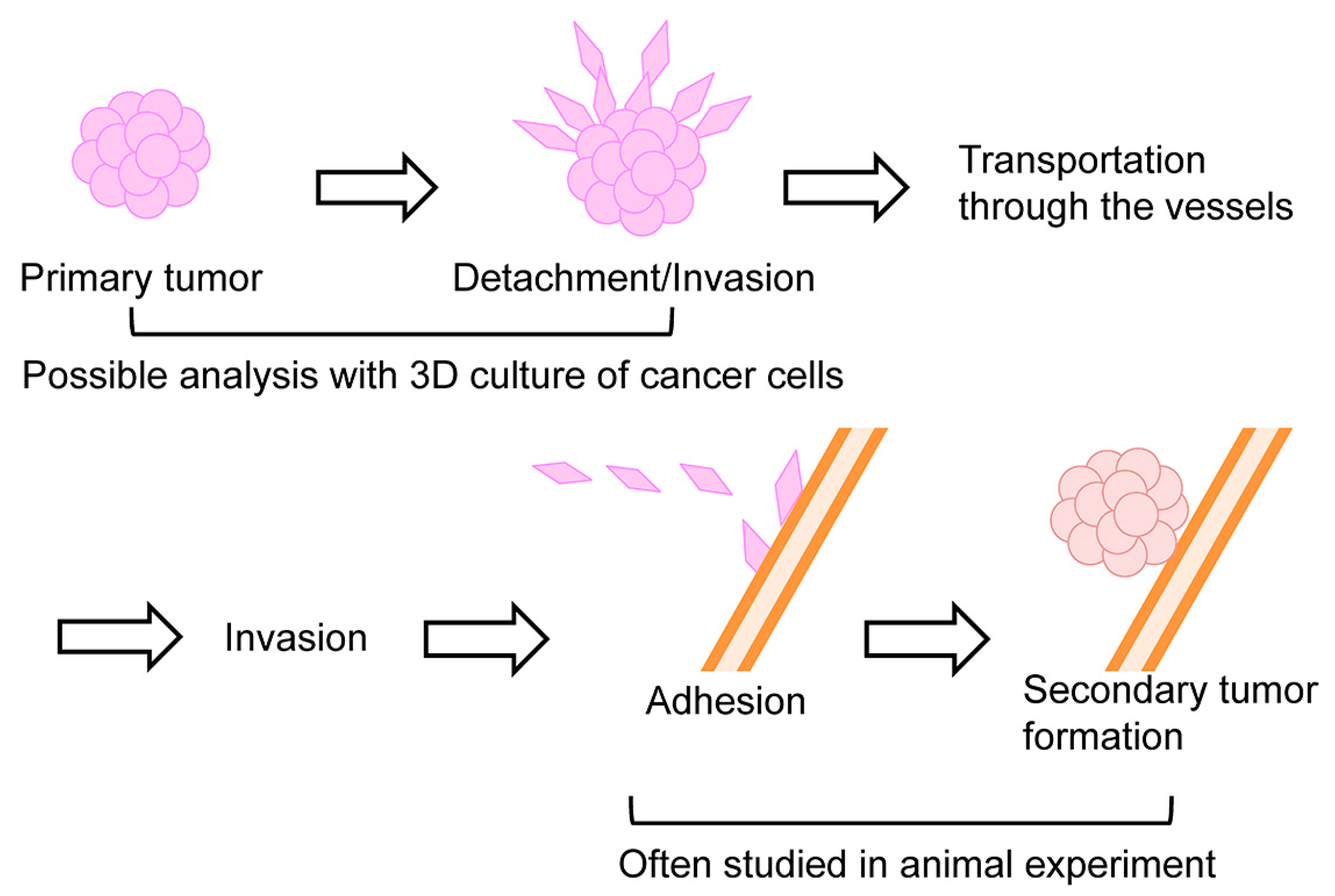 JCI - Mitochondrial complex I activity and NAD+/NADH 