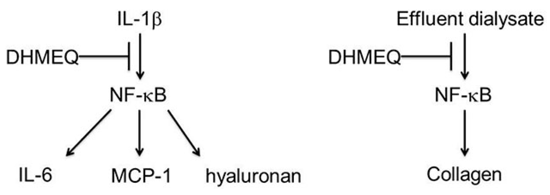 Ijms 19 00729 g008 Ijms 19 00729 g008