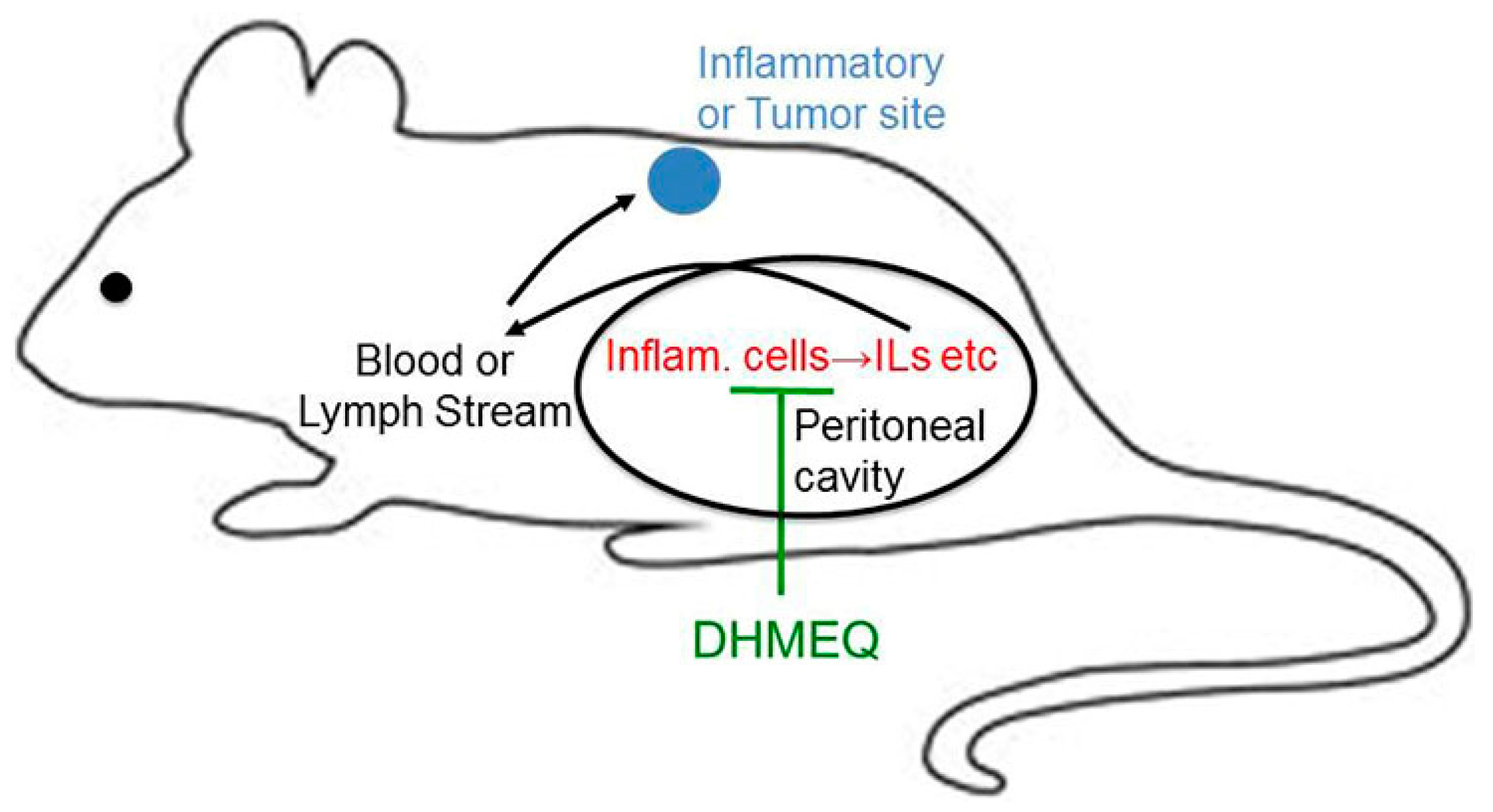 Ijms 19 00729 g009 Ijms 19 00729 g009