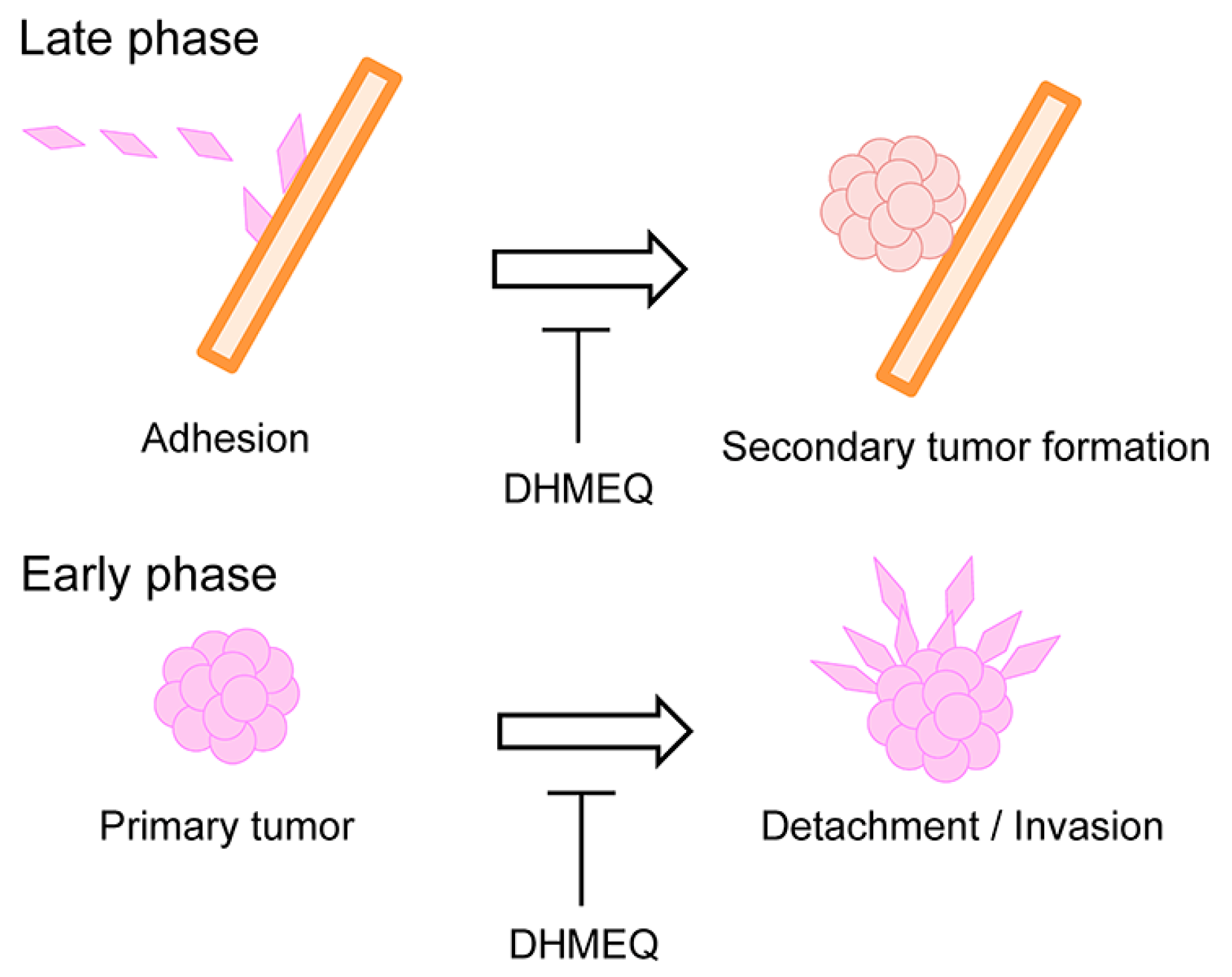 Ijms 19 00729 g010 Ijms 19 00729 g010
