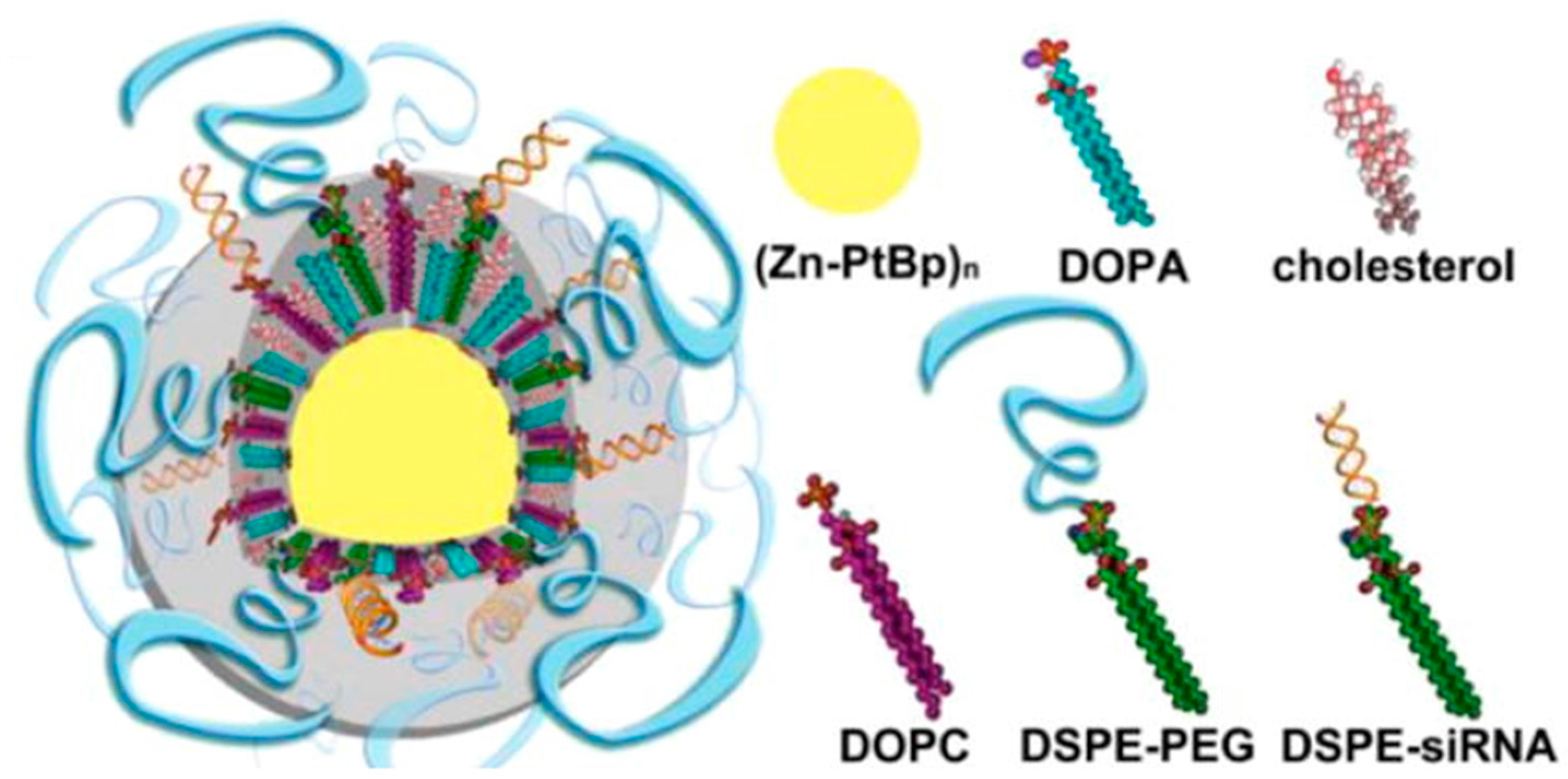 Ijms 19 00731 g004 Ijms 19 00731 g004