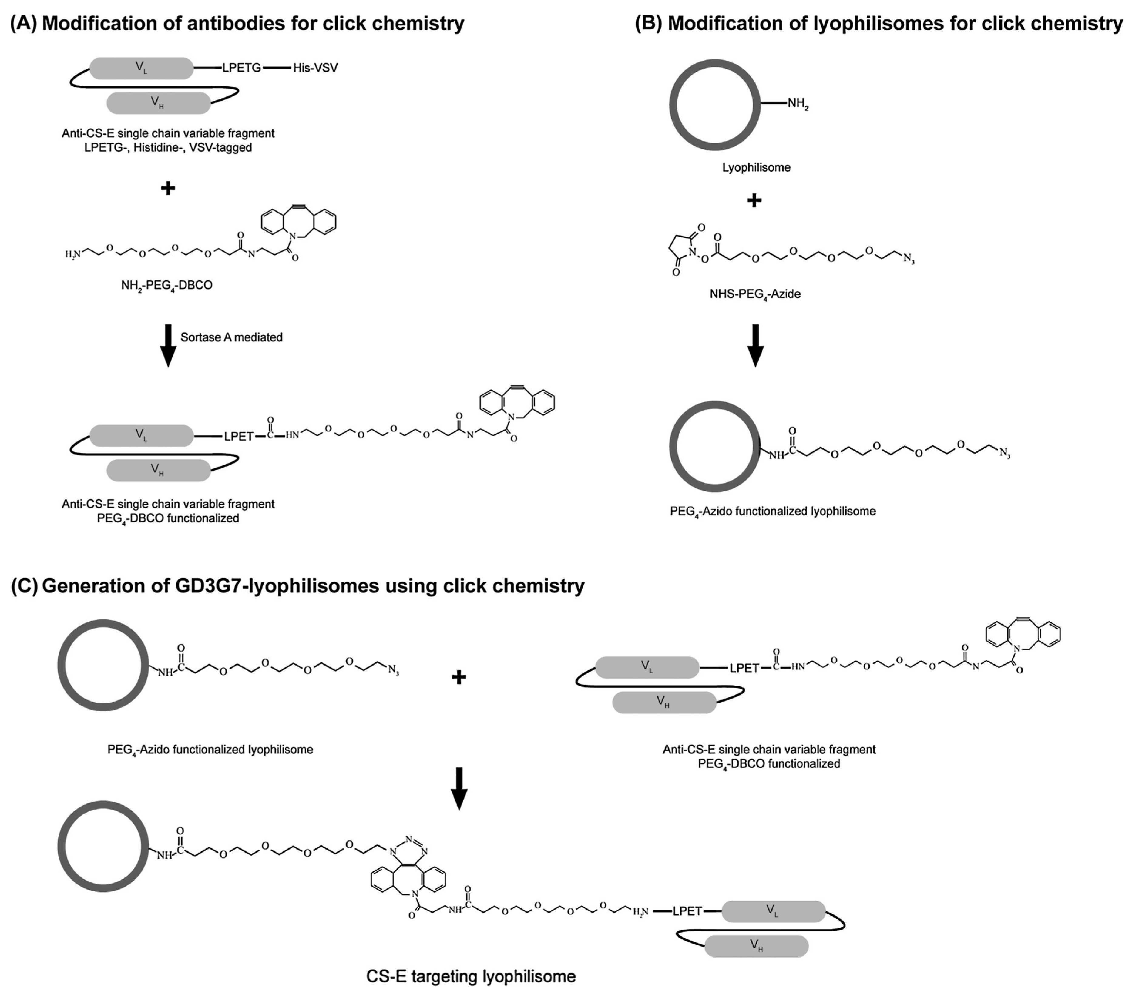 Ijms 19 00731 g005 Ijms 19 00731 g005