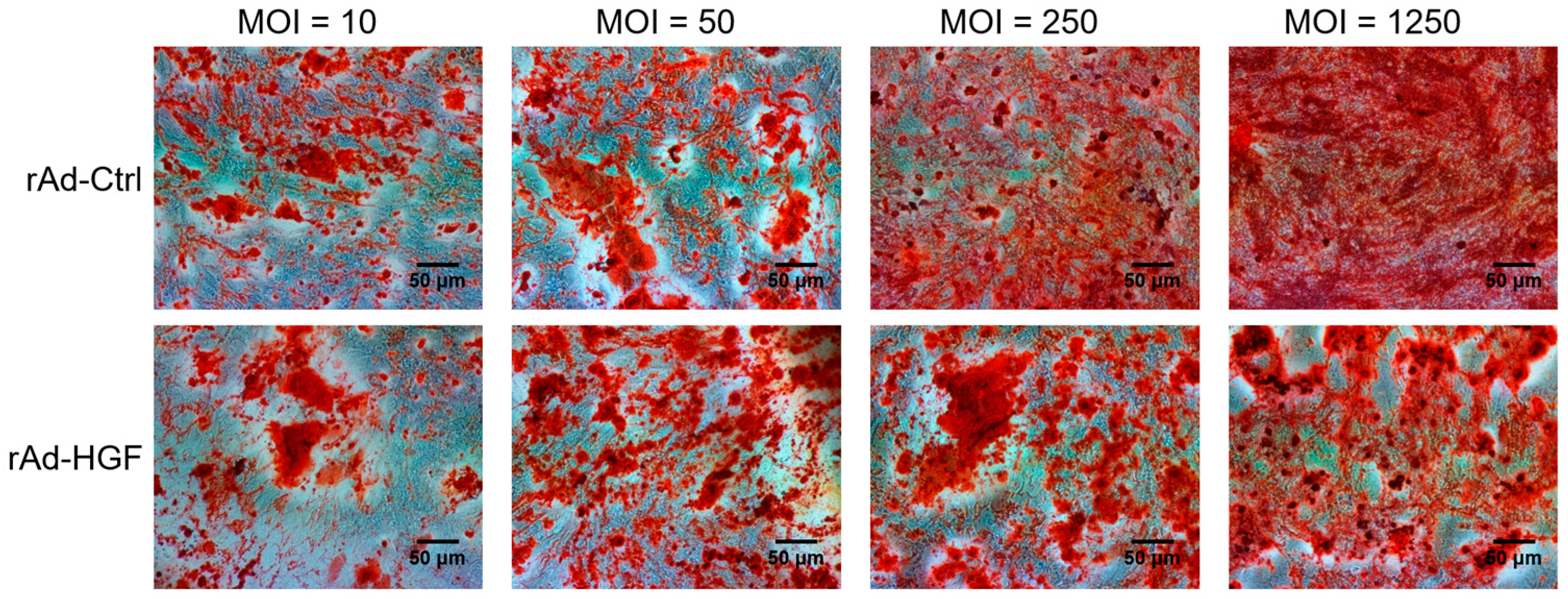 Ijms 19 00734 g003 550