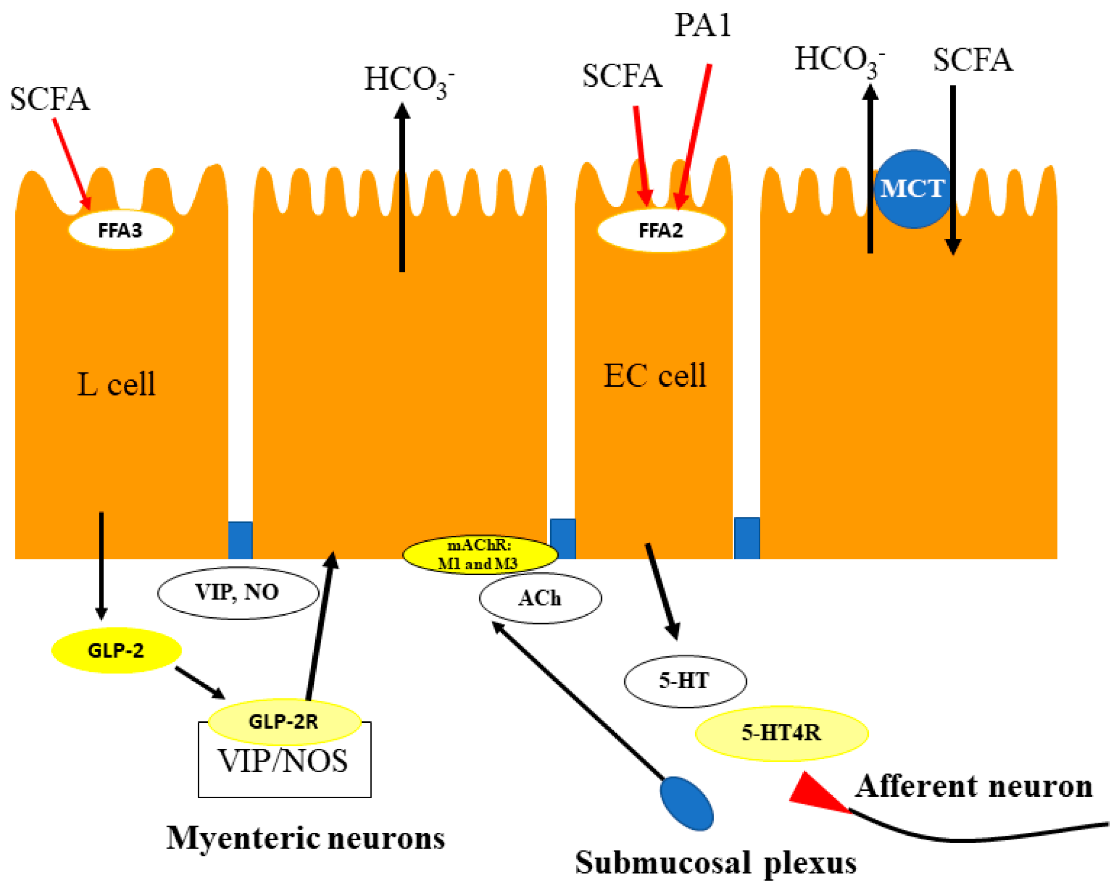 Ijms 19 00735 g001 Ijms 19 00735 g001