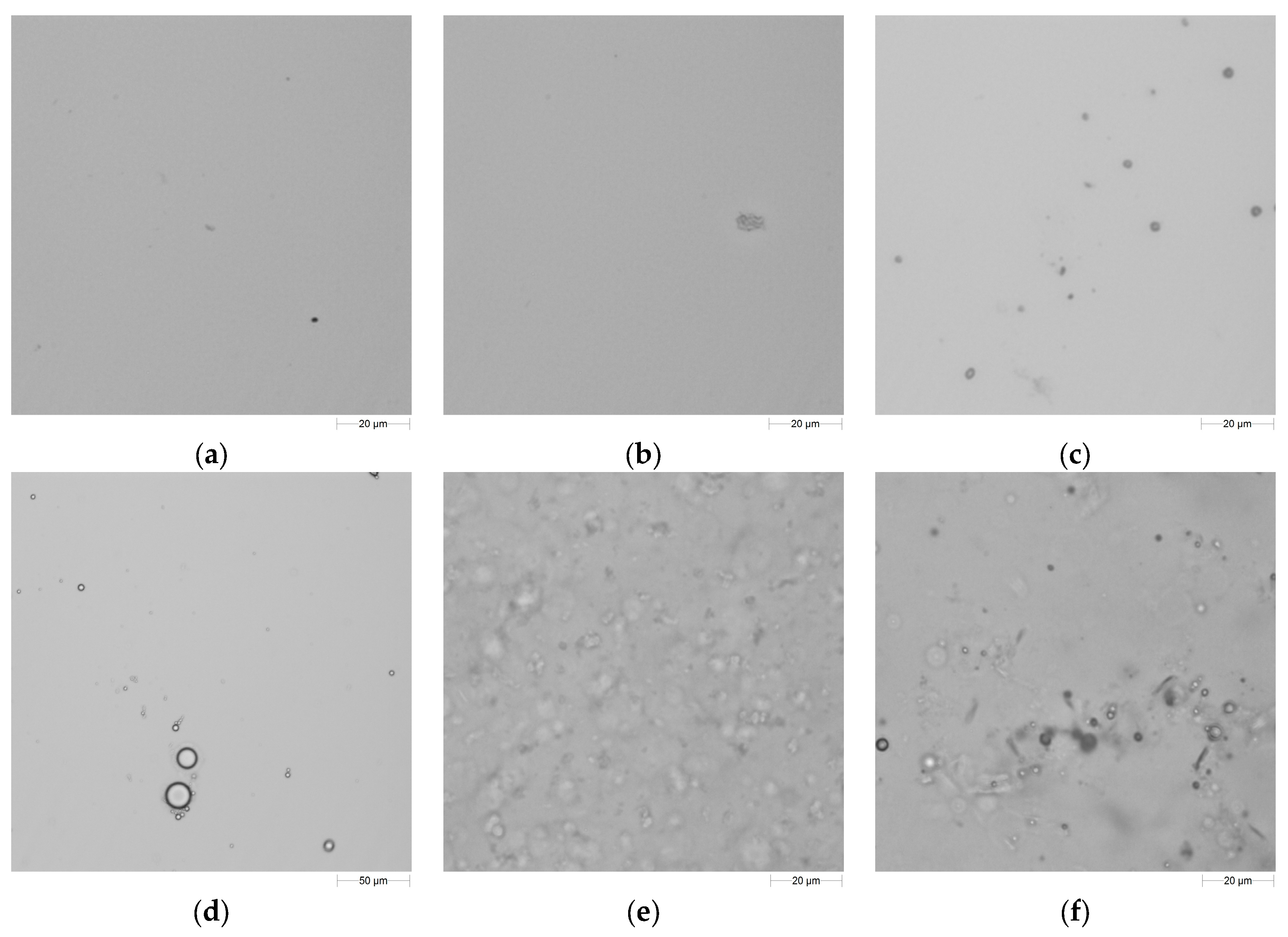 Ijms 19 00742 g006