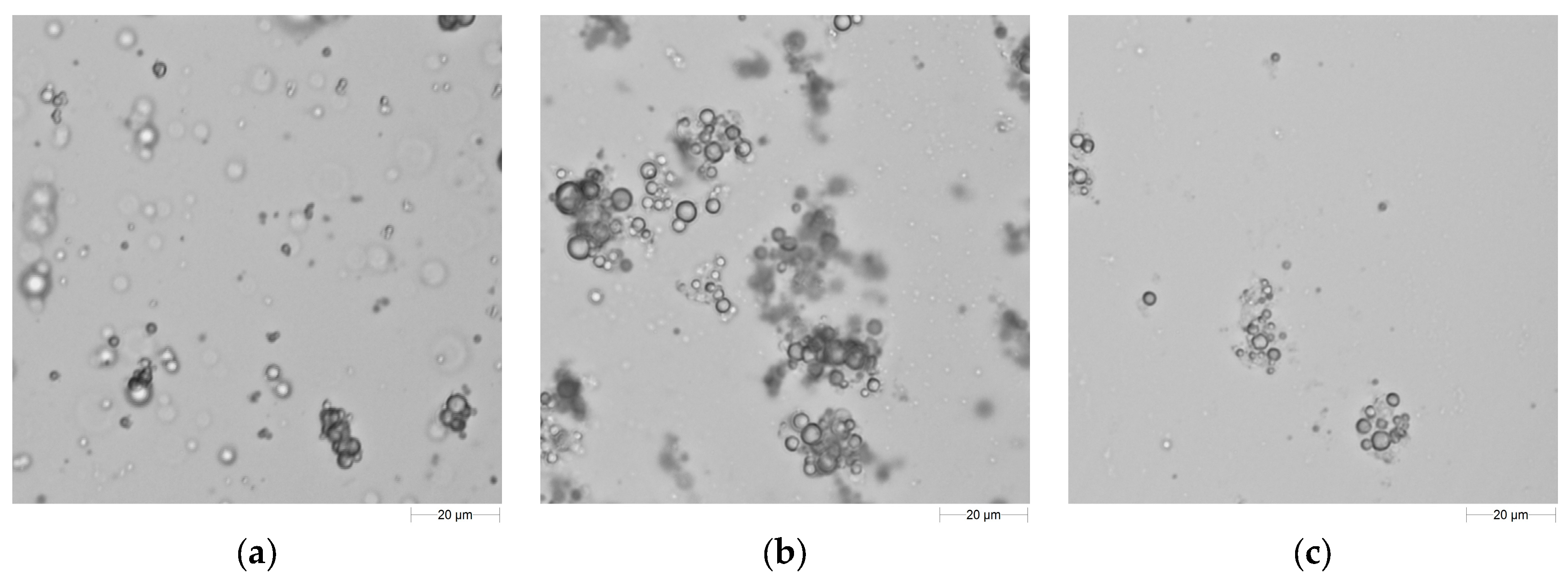 Ijms 19 00742 g008