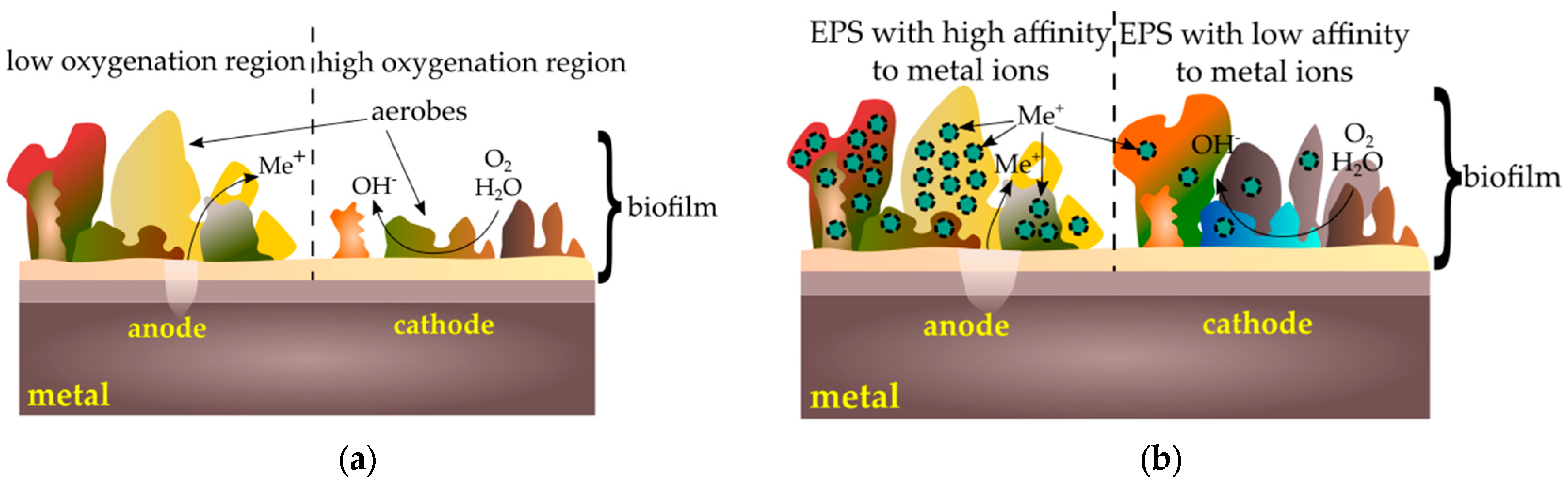Ijms 19 00743 g003 Ijms 19 00743 g003