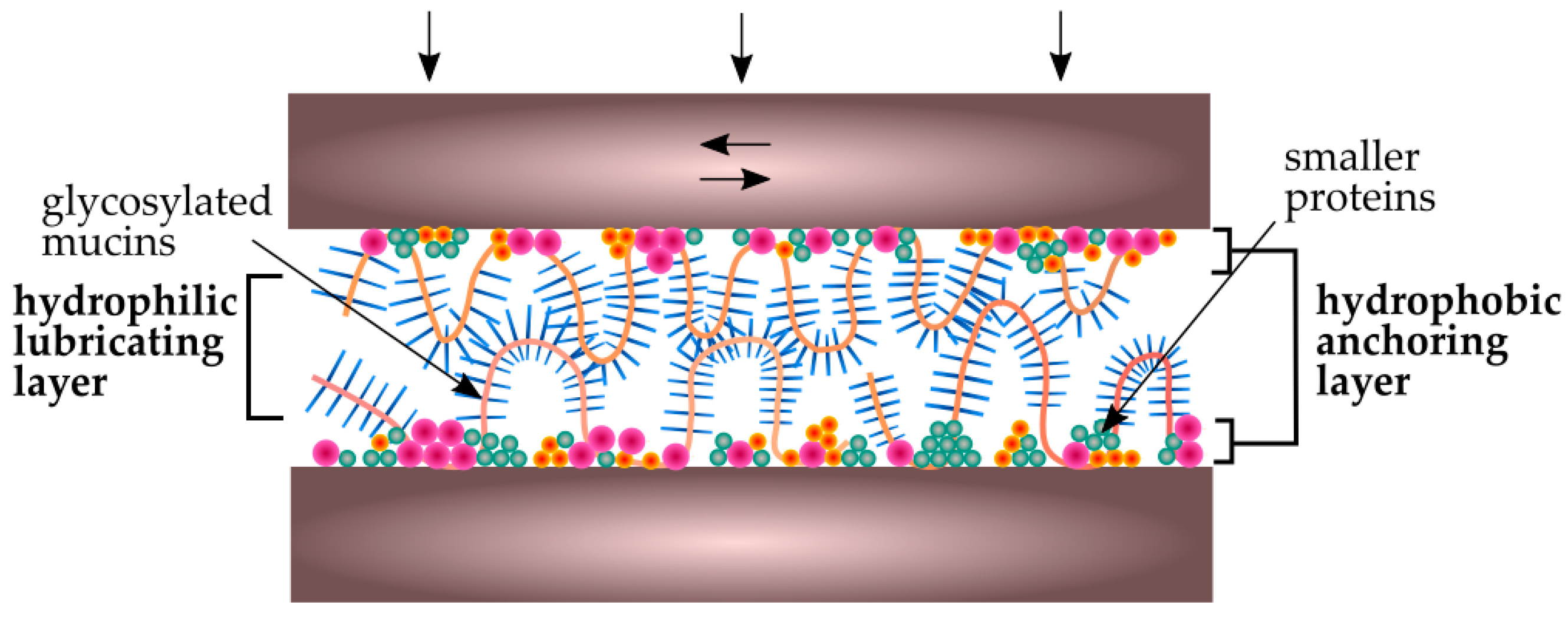 Ijms 19 00743 g006 Ijms 19 00743 g006