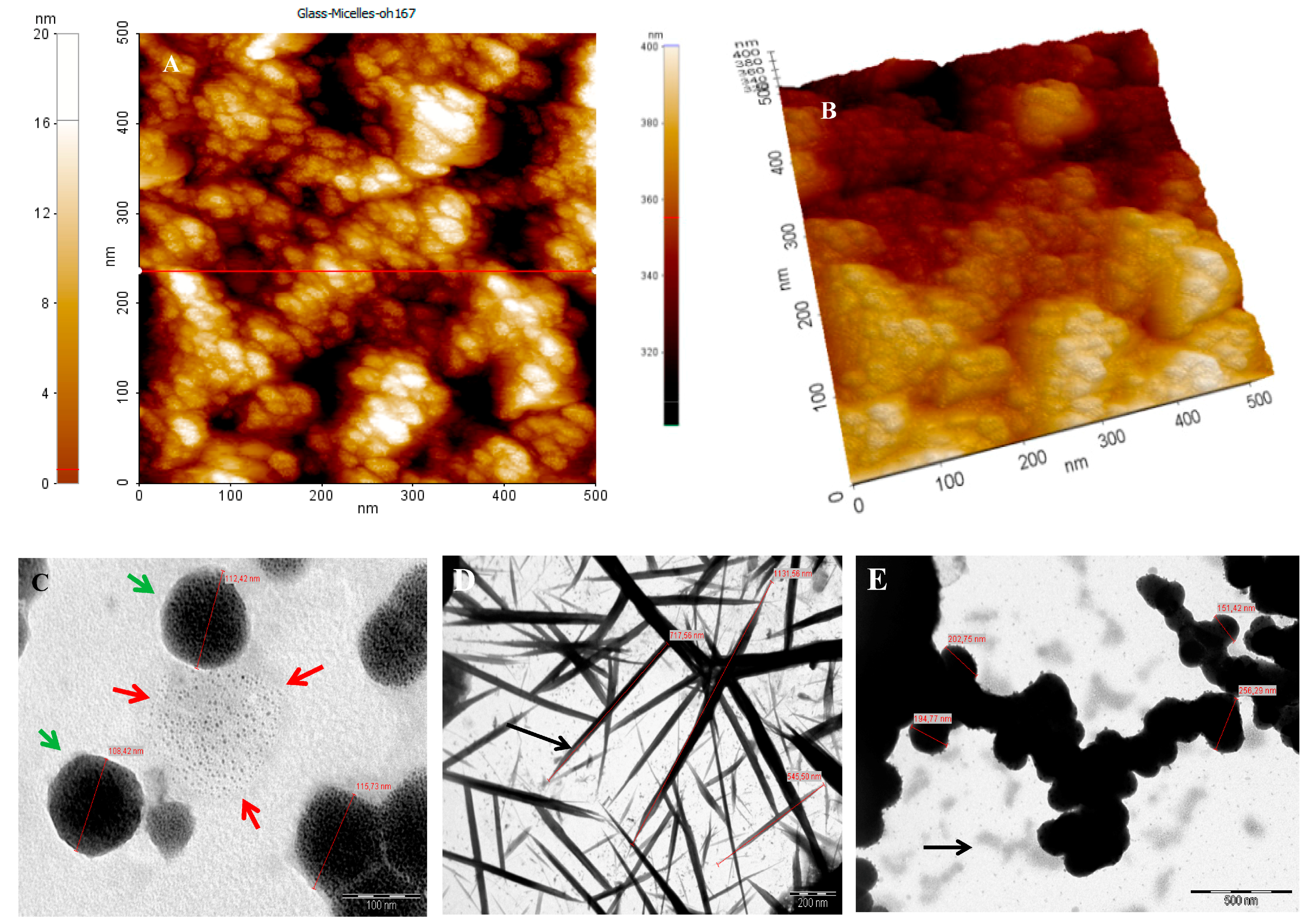 Ijms 19 00748 g003 550