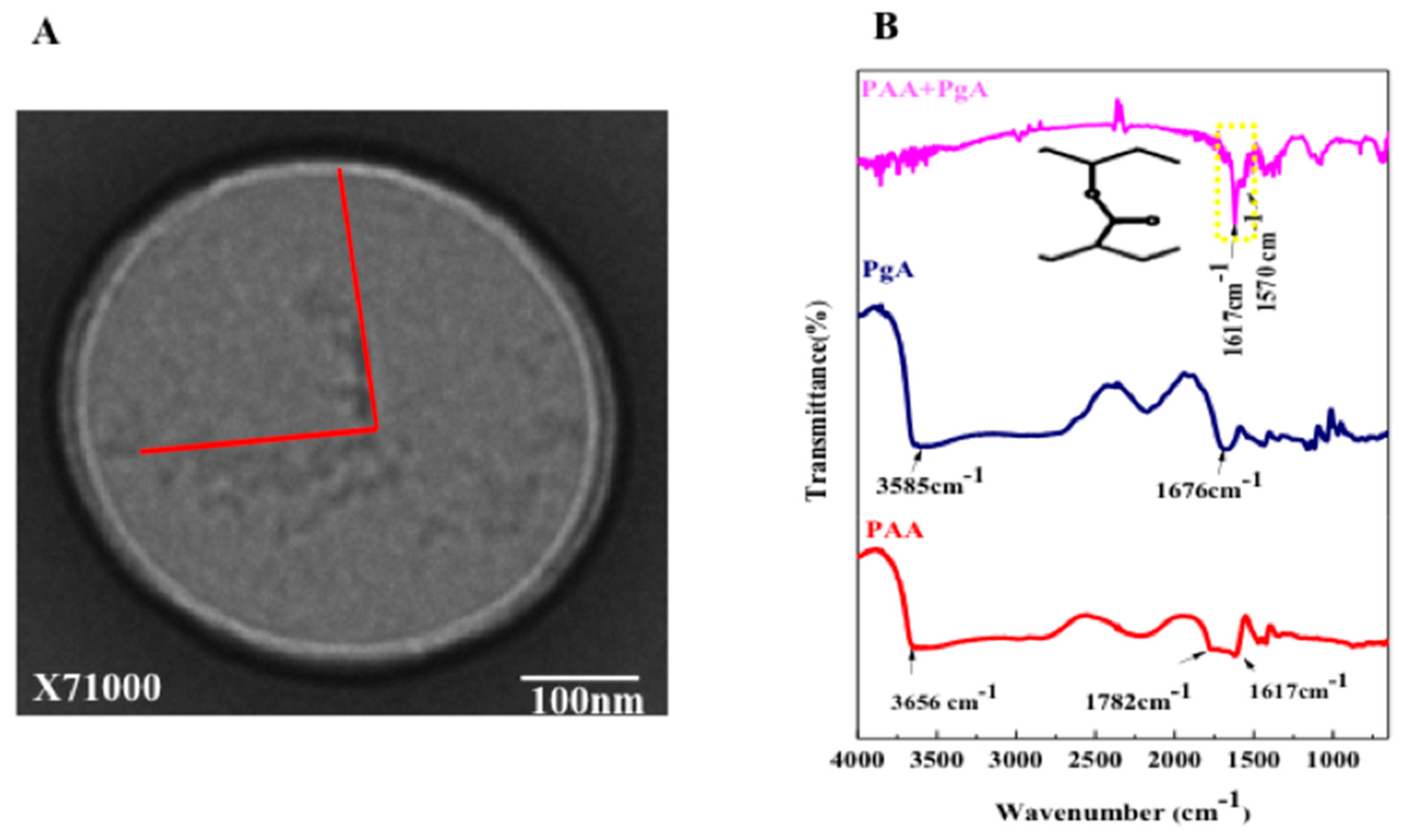 Ijms 19 00748 g006 550