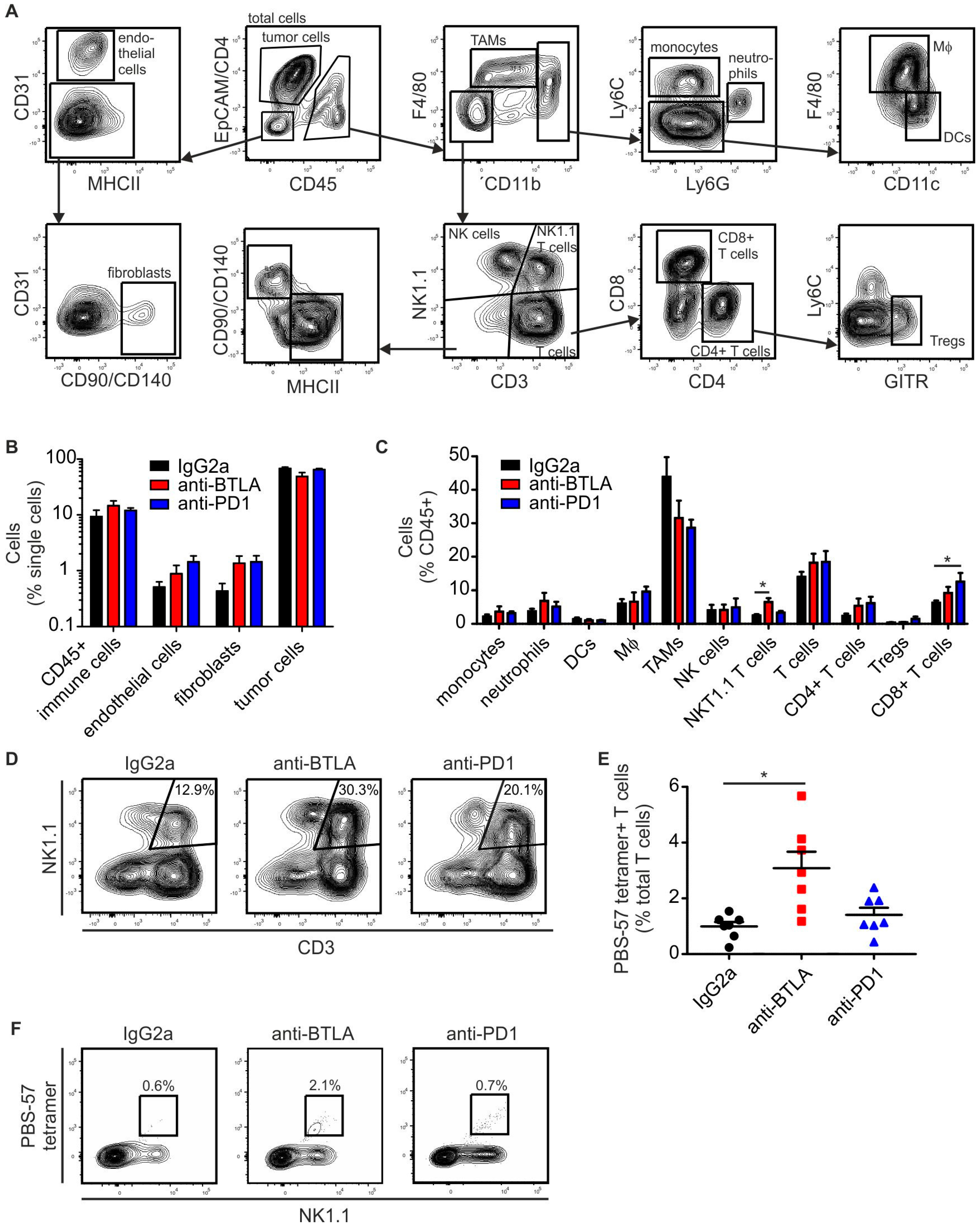 Ijms 19 00752 g003 550