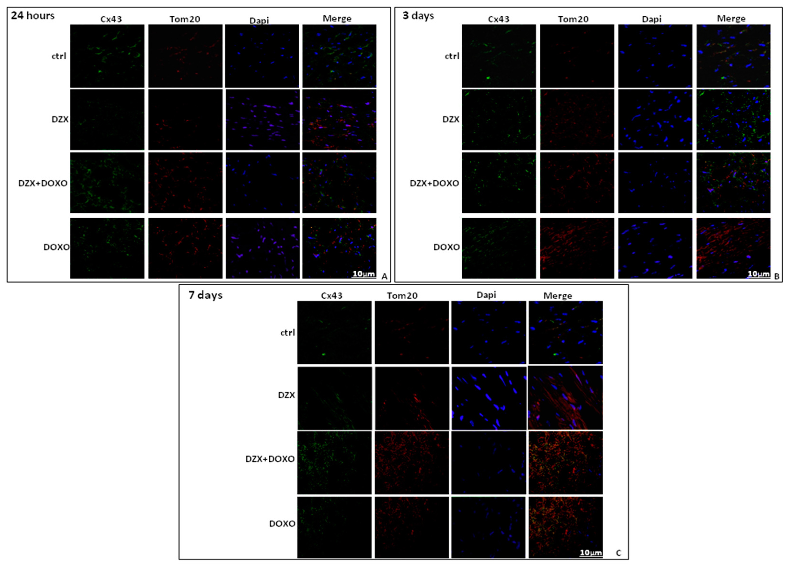 Ijms 19 00757 g004