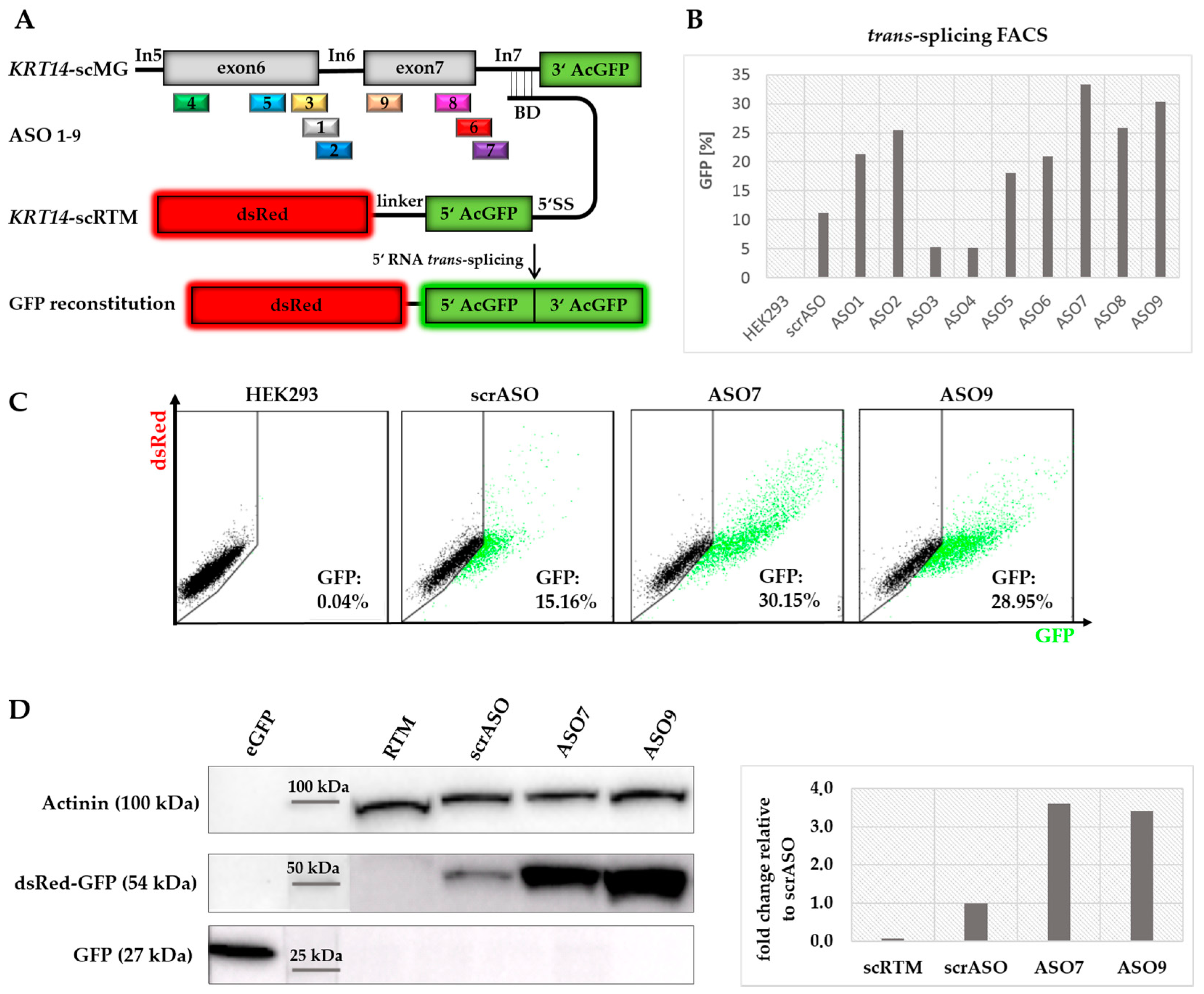 Ijms 19 00762 g006 550
