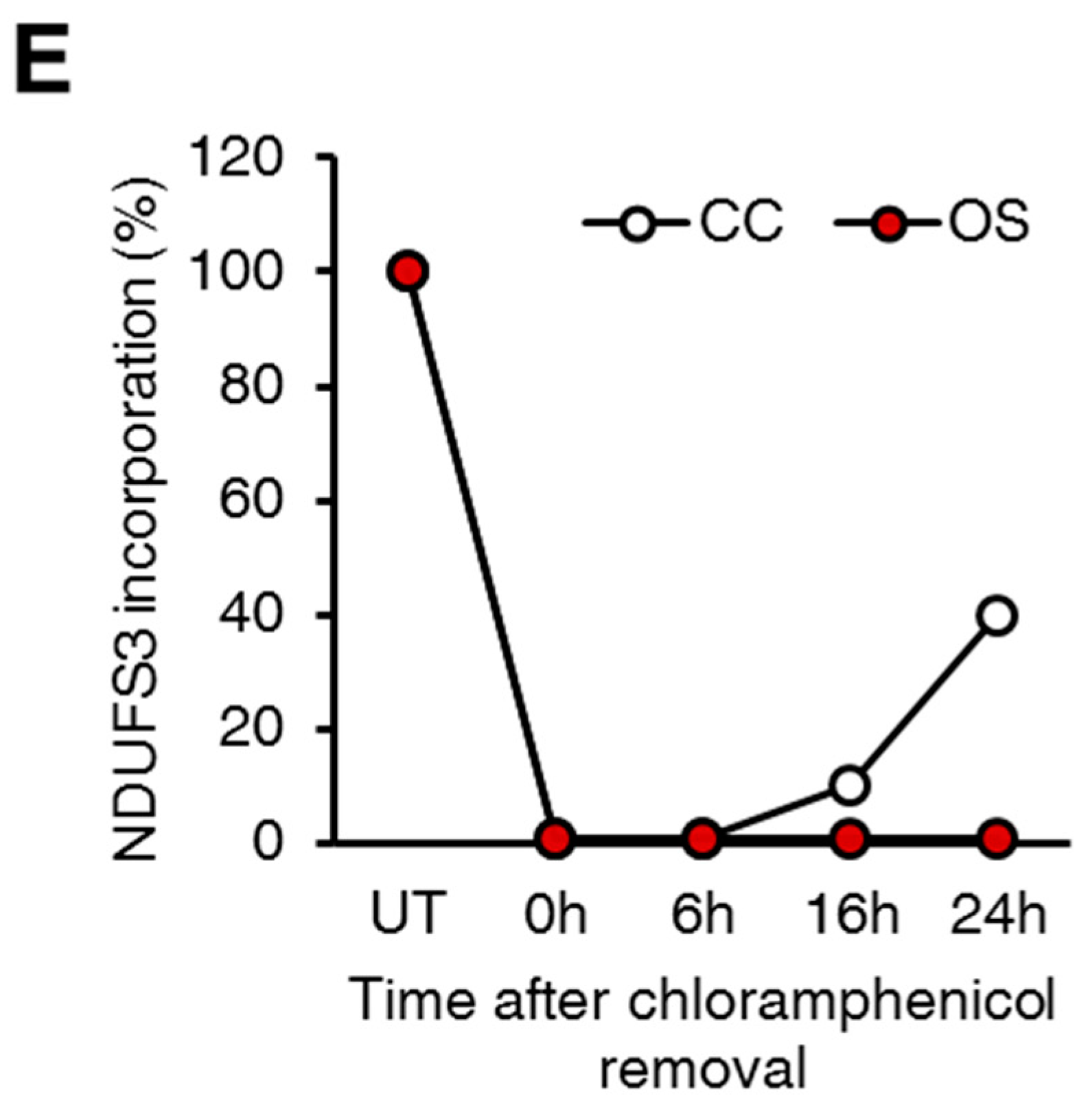 Ijms 19 00764 g001b Ijms 19 00764 g001b
