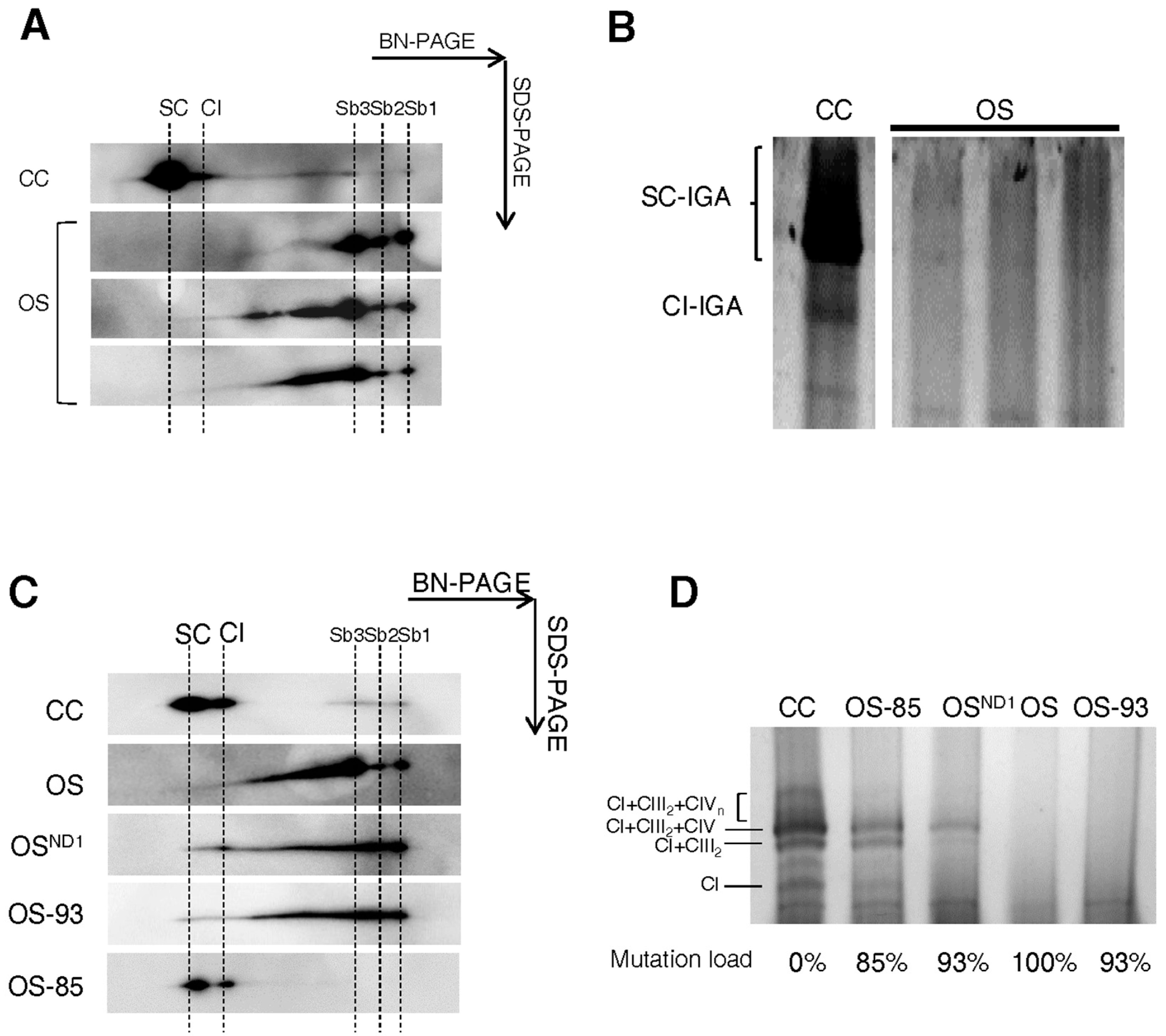 Ijms 19 00764 g005 Ijms 19 00764 g005