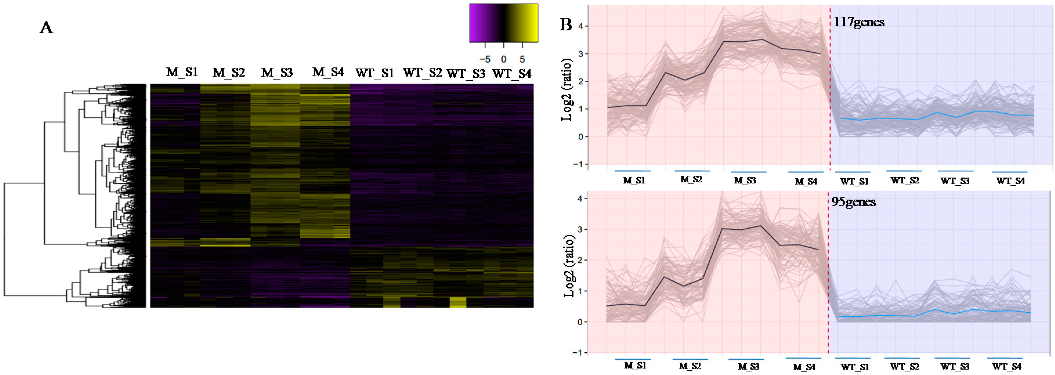 Ijms 19 00782 g007 Ijms 19 00782 g007