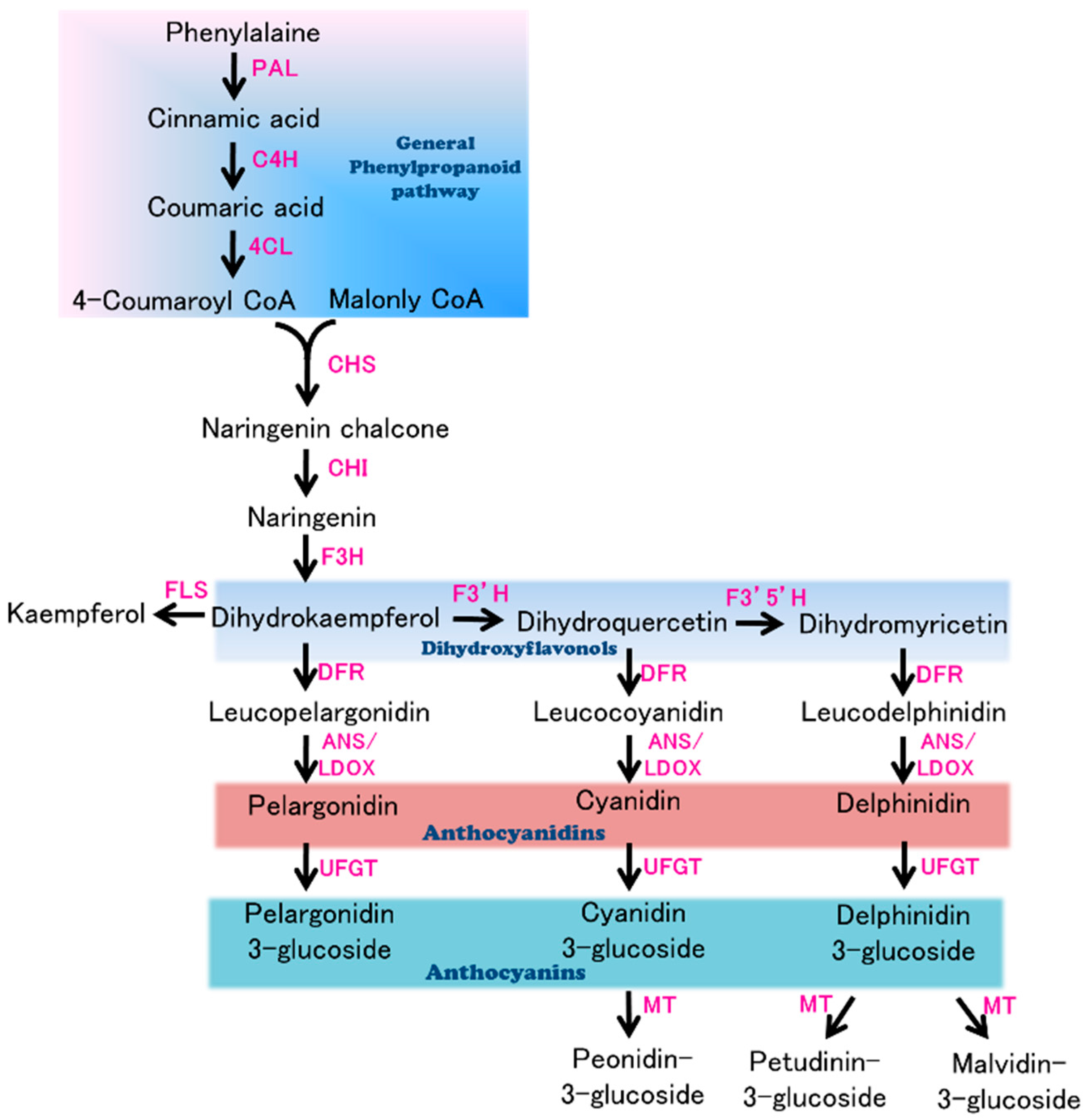 Ijms 19 00789 g001 550