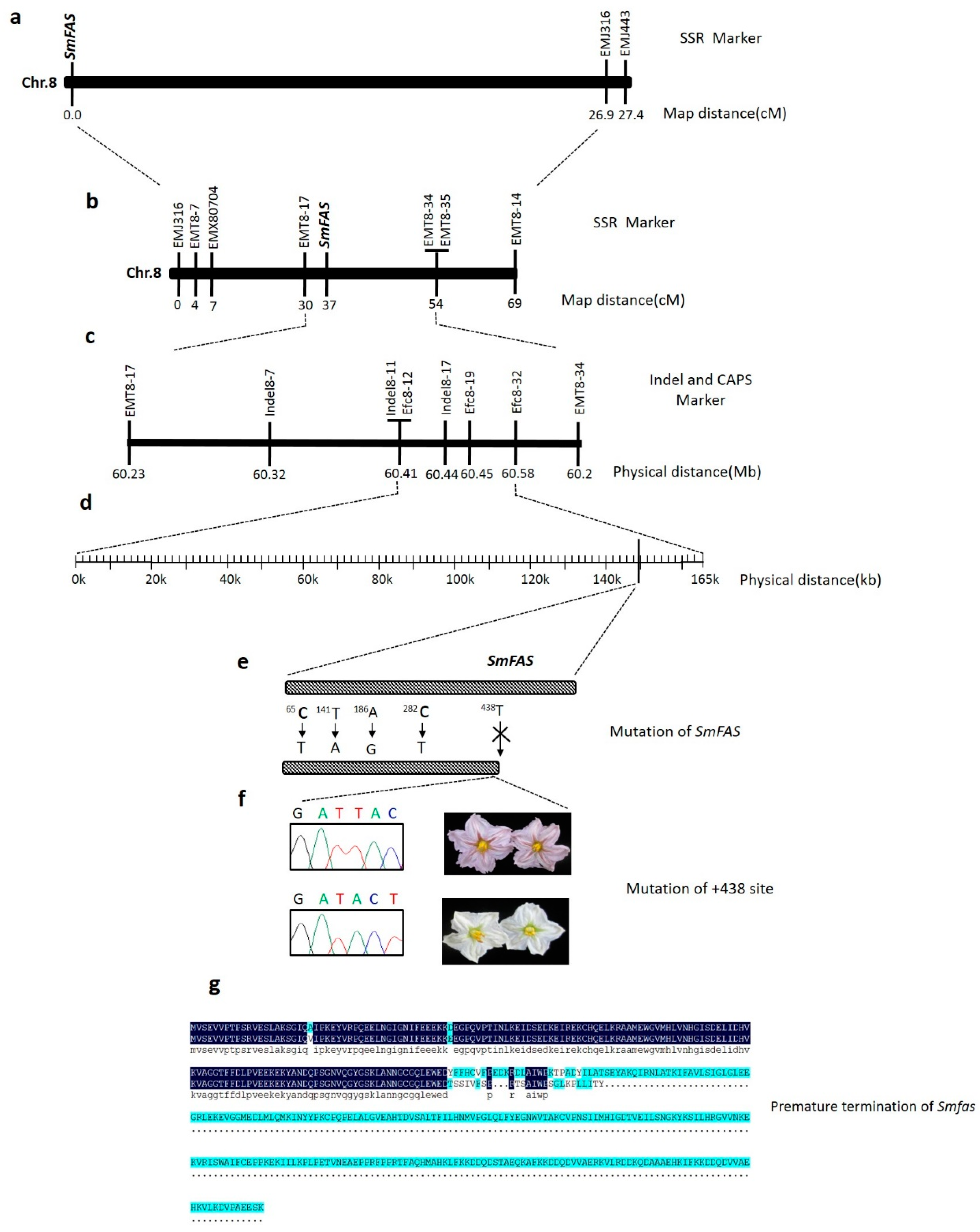 Ijms 19 00789 g003 550