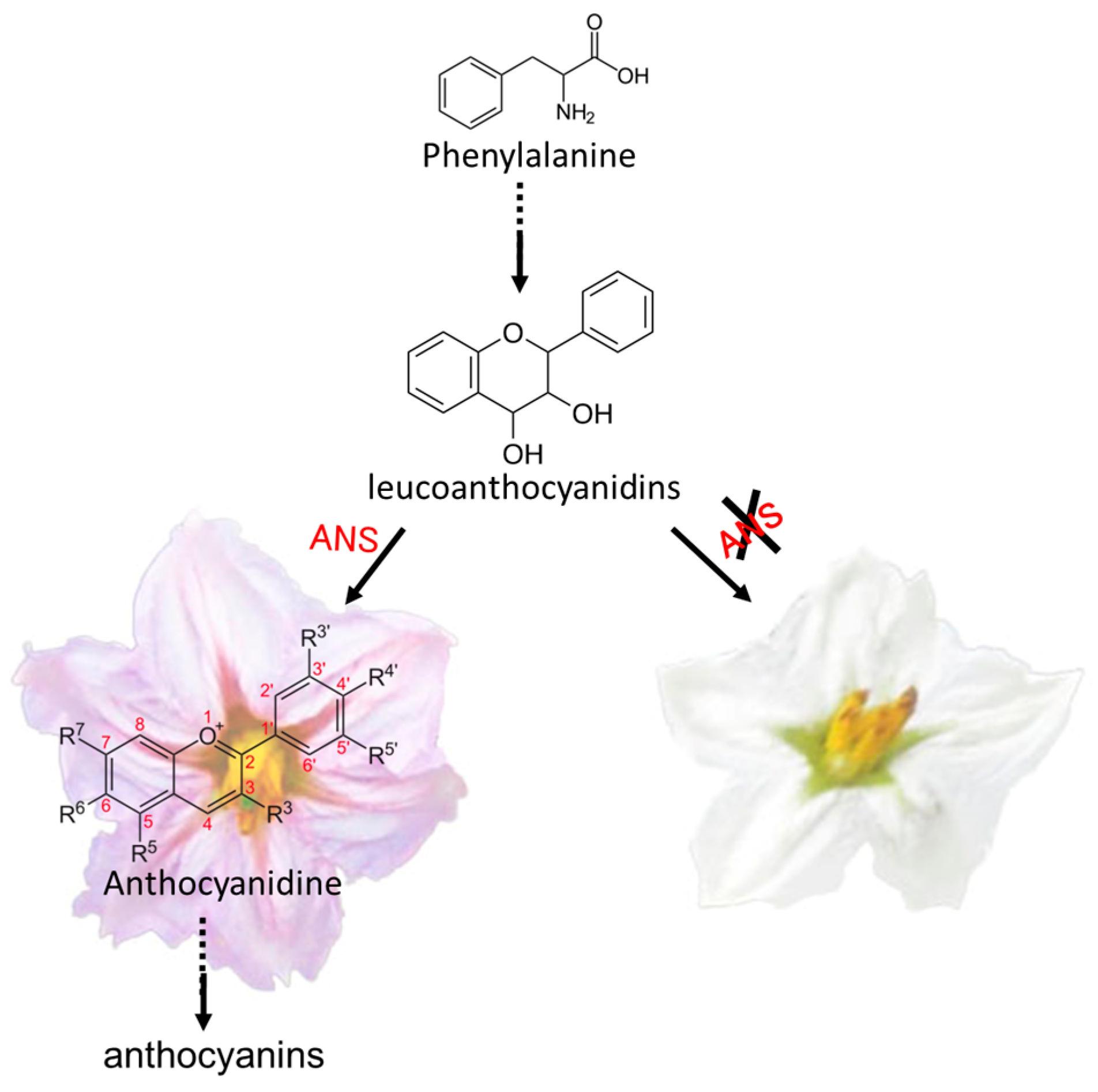 Ijms 19 00789 g006 550