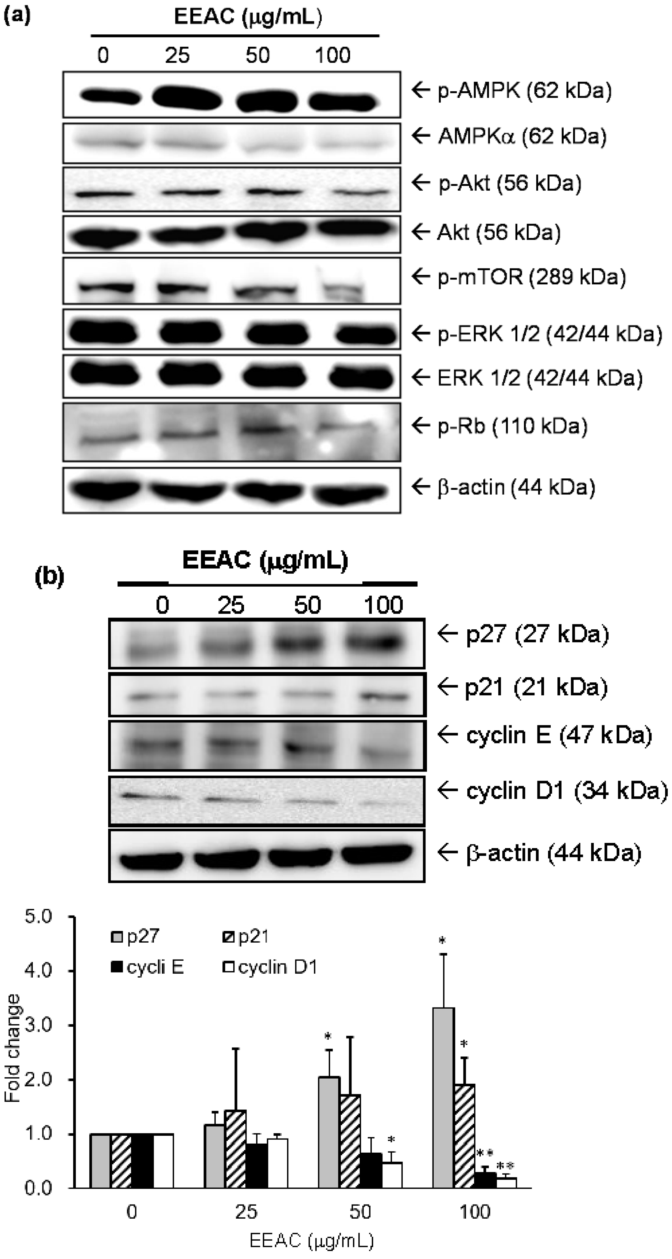 Ijms 19 00791 g002 550