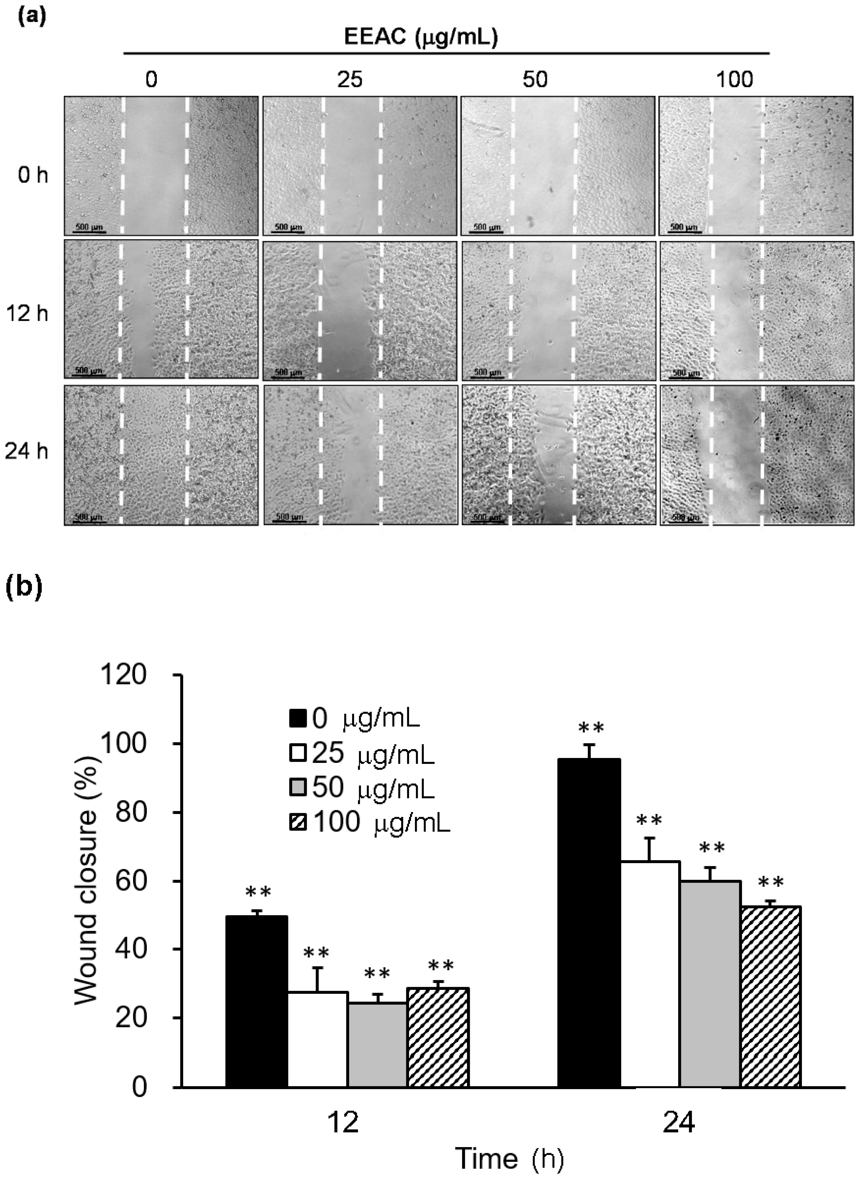 Ijms 19 00791 g003 550