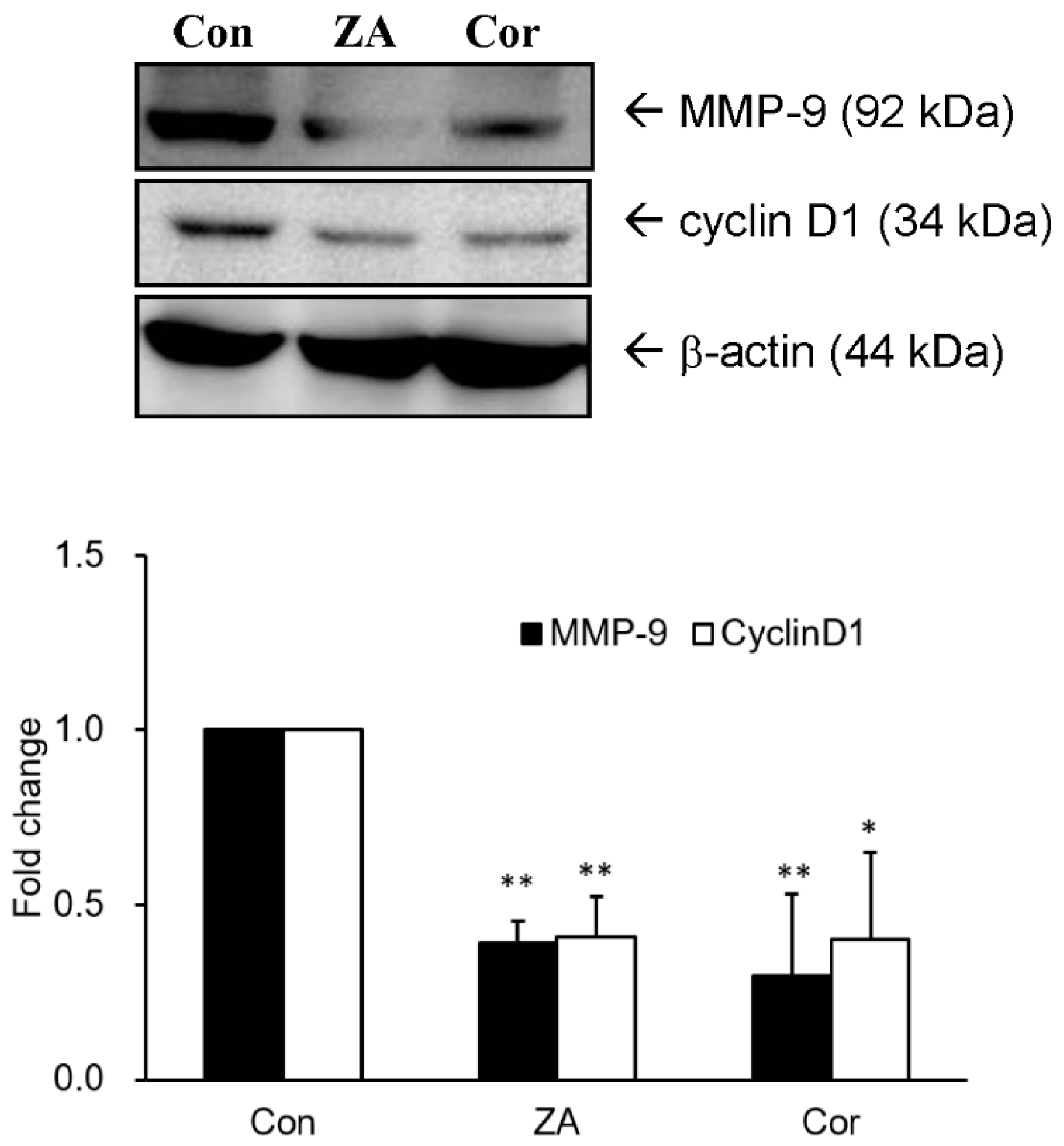 Ijms 19 00791 g005 550