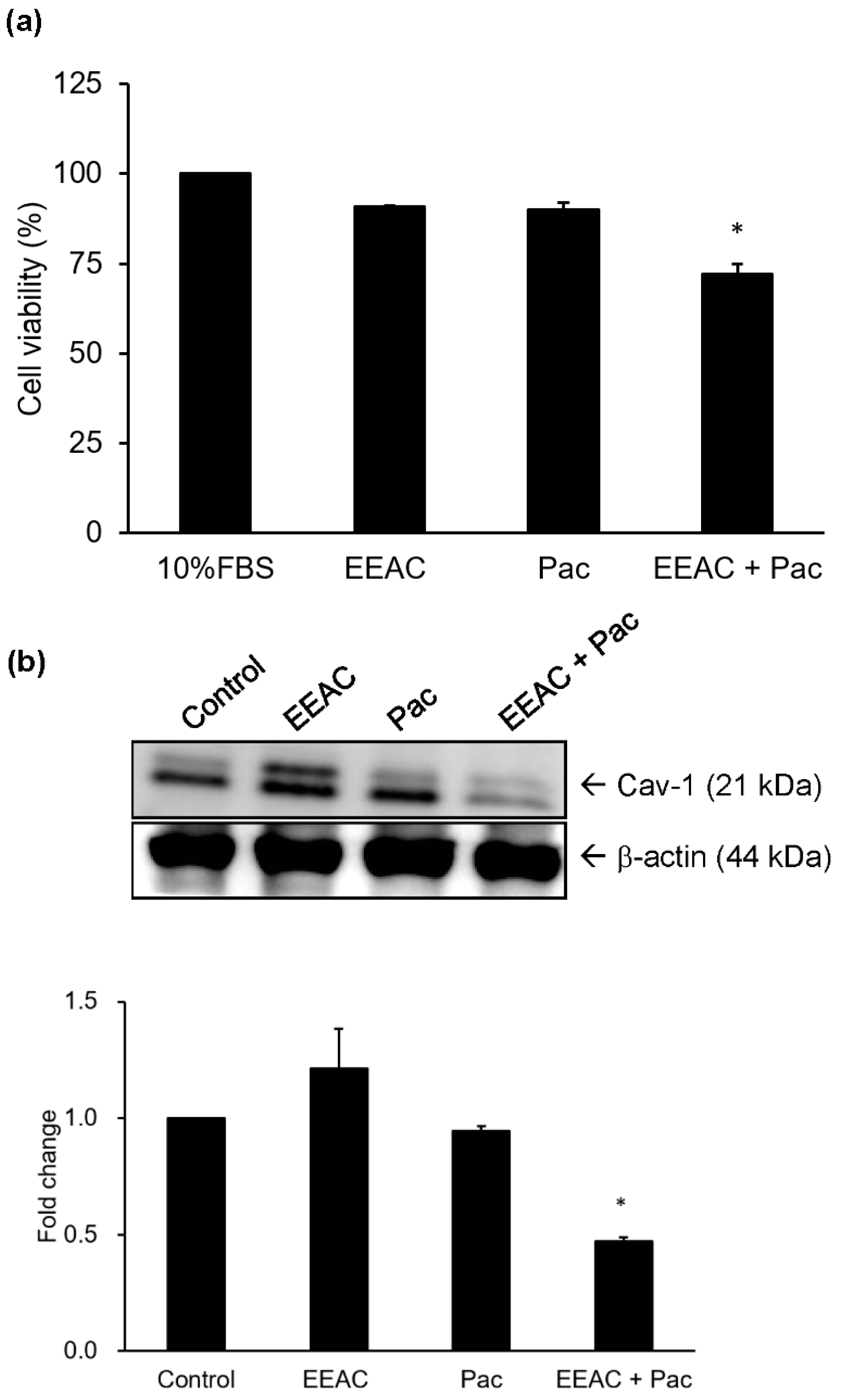 Ijms 19 00791 g006 550