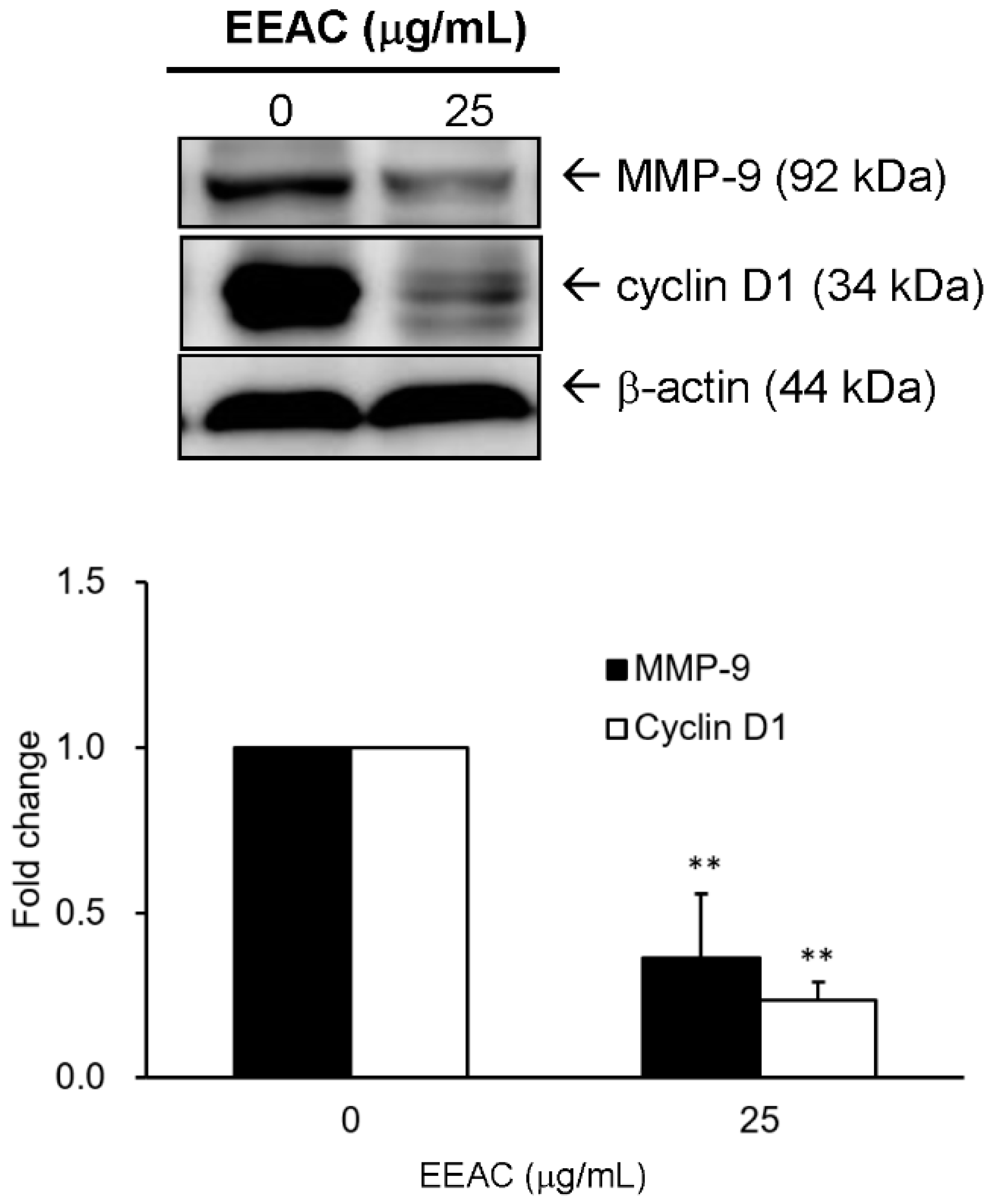 Ijms 19 00791 g007 550