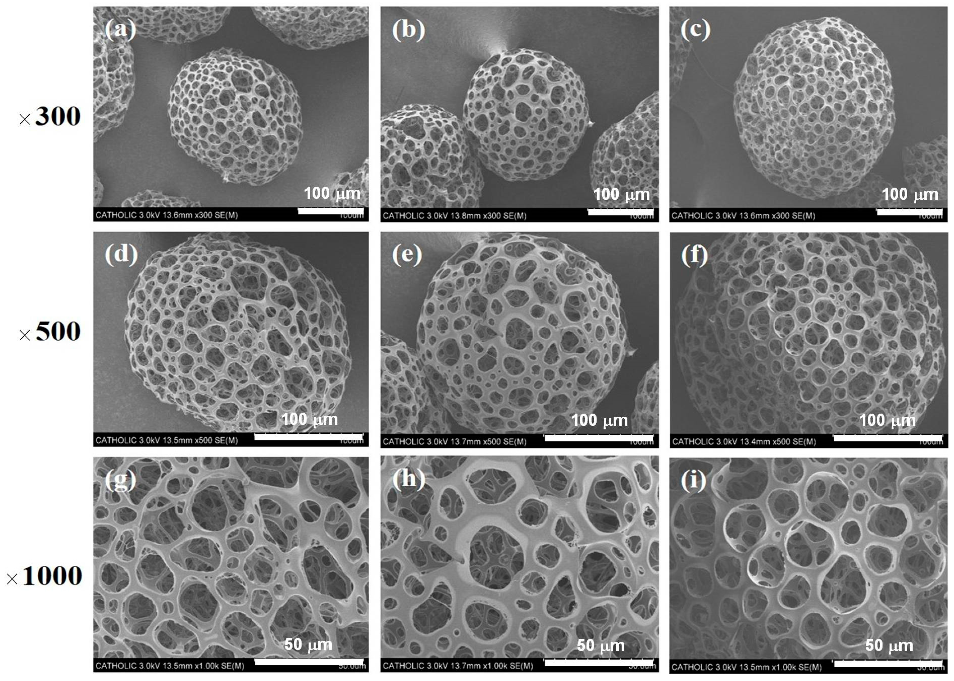 Ijms 19 00820 g001 Ijms 19 00820 g001