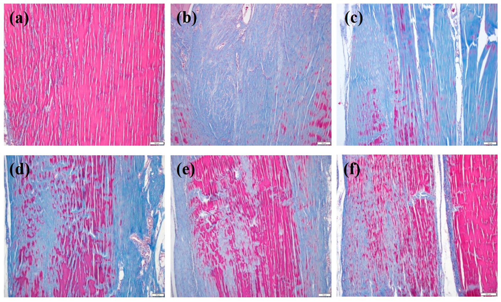 Ijms 19 00820 g004 Ijms 19 00820 g004