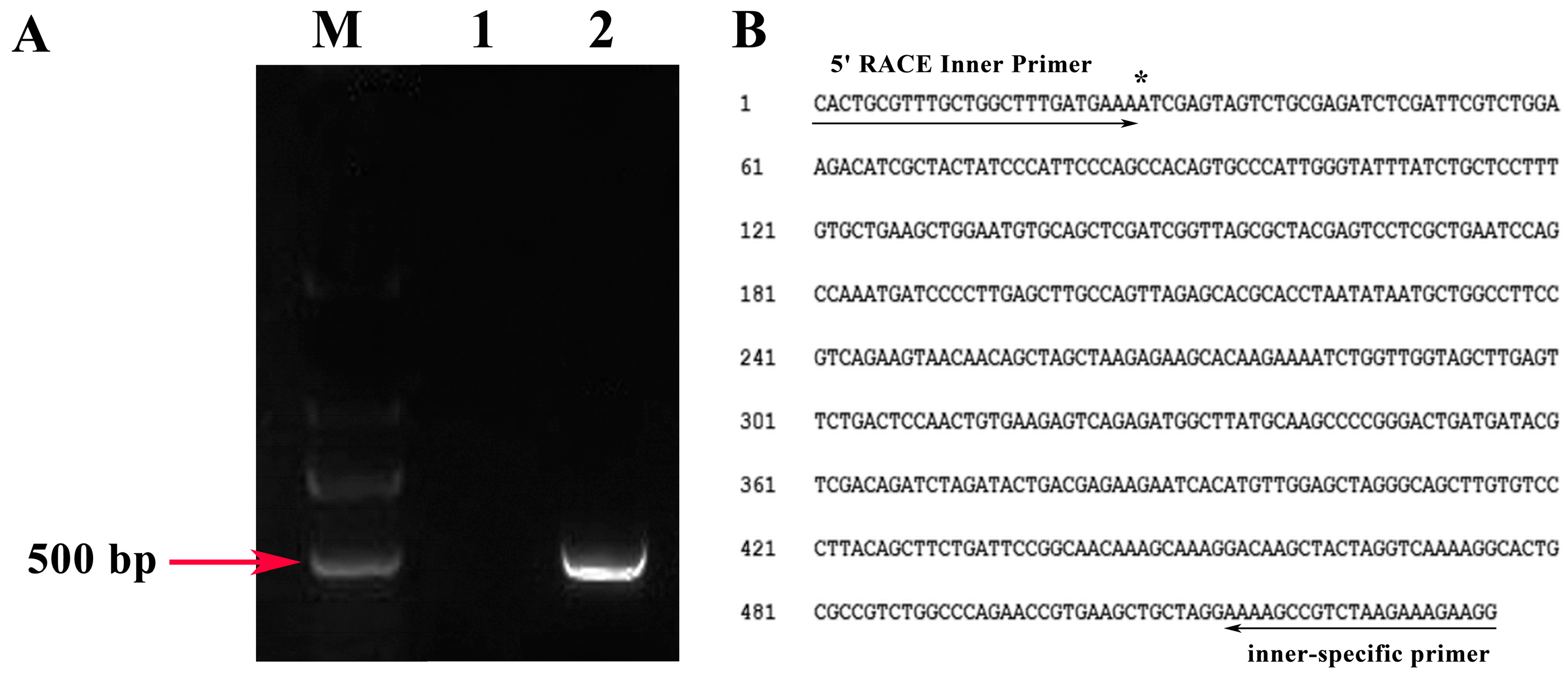 Ijms 19 00822 g003 Ijms 19 00822 g003