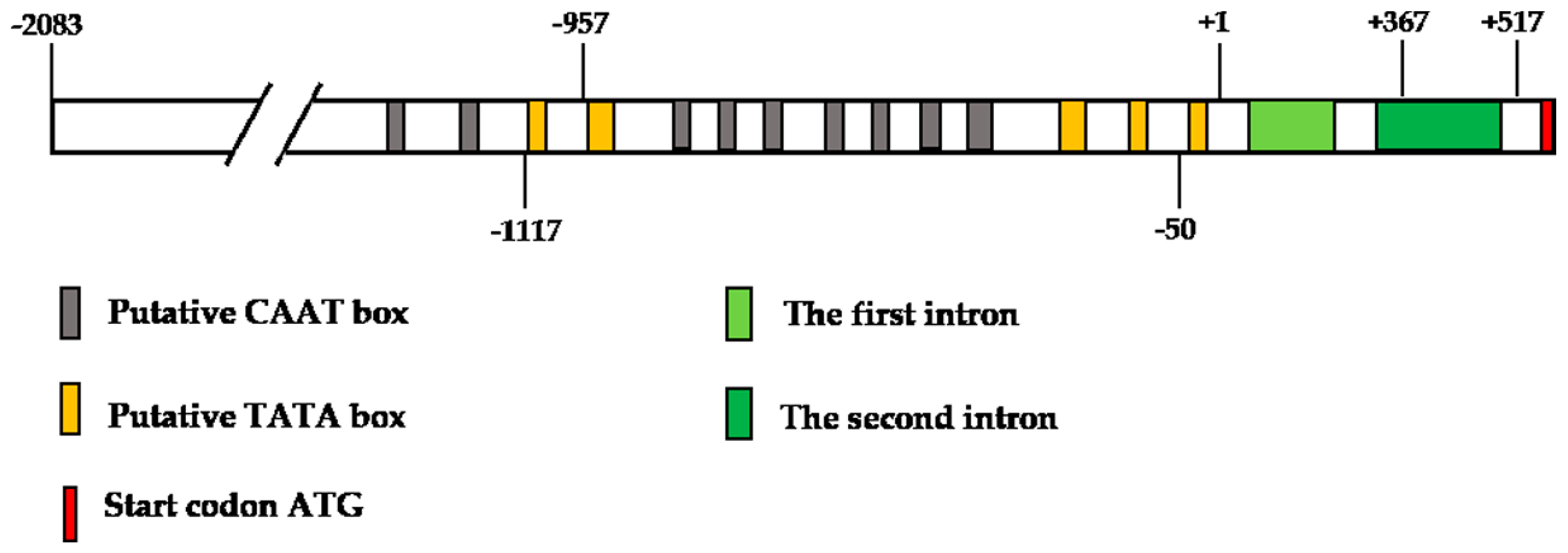 Ijms 19 00822 g004 Ijms 19 00822 g004