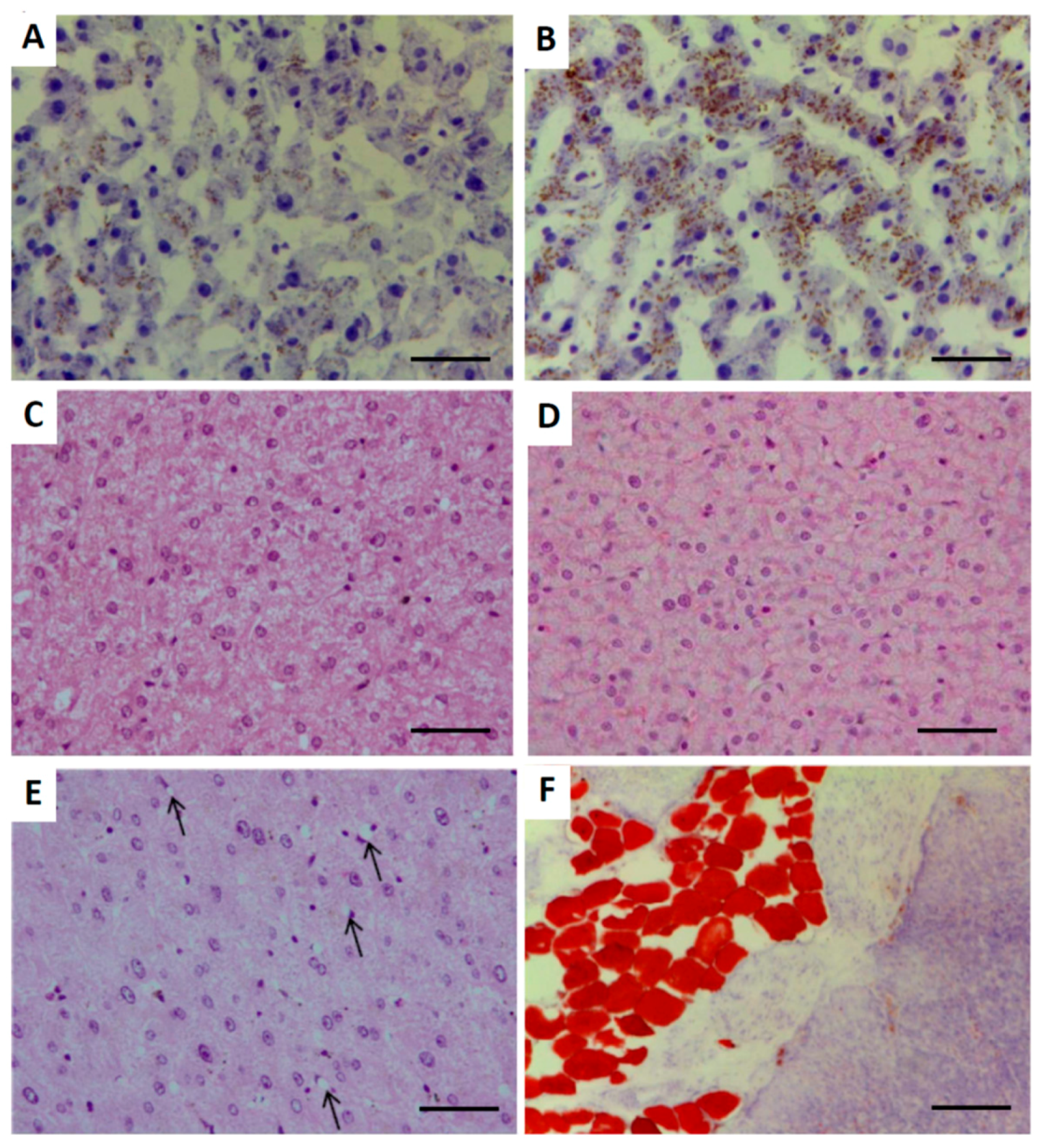 Ijms 19 00823 g002 Ijms 19 00823 g002