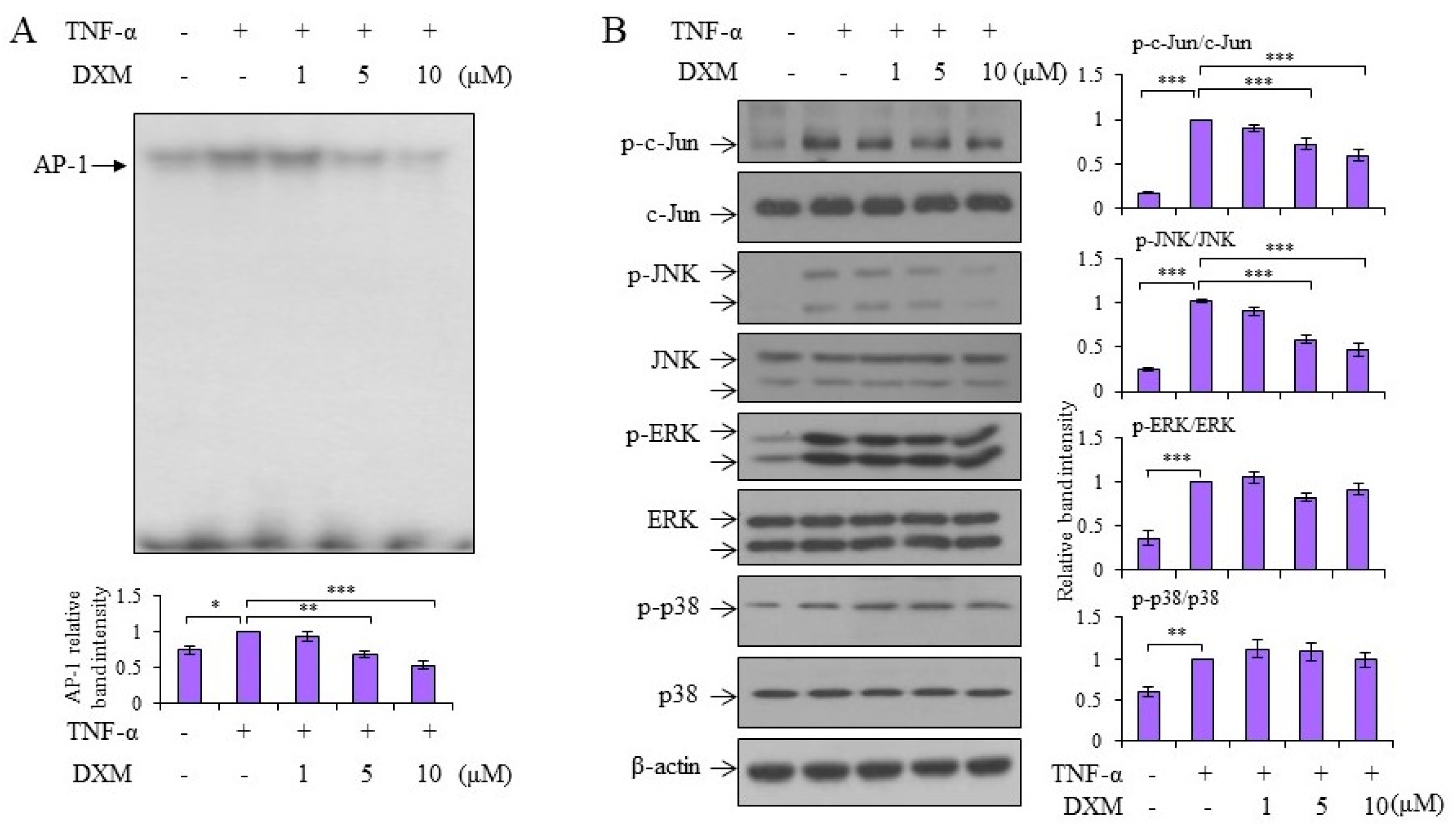 Ijms 19 00825 g004