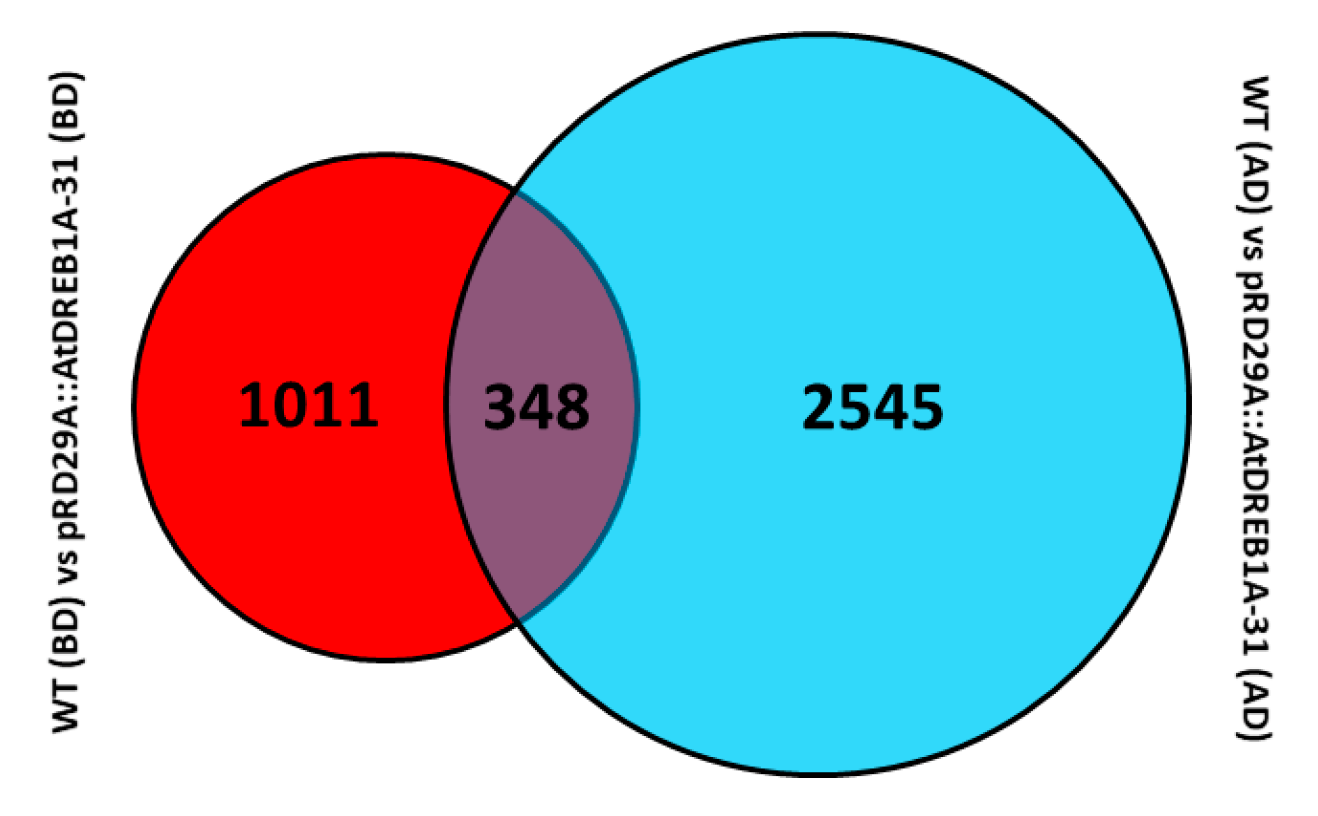 Ijms 19 00827 g003 Ijms 19 00827 g003